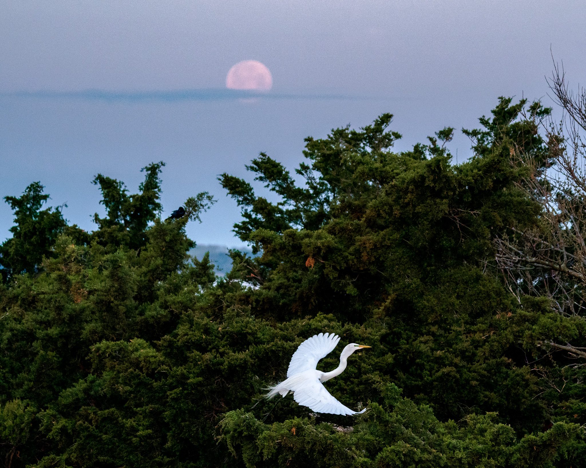 A9I07951-Edit.jpg
