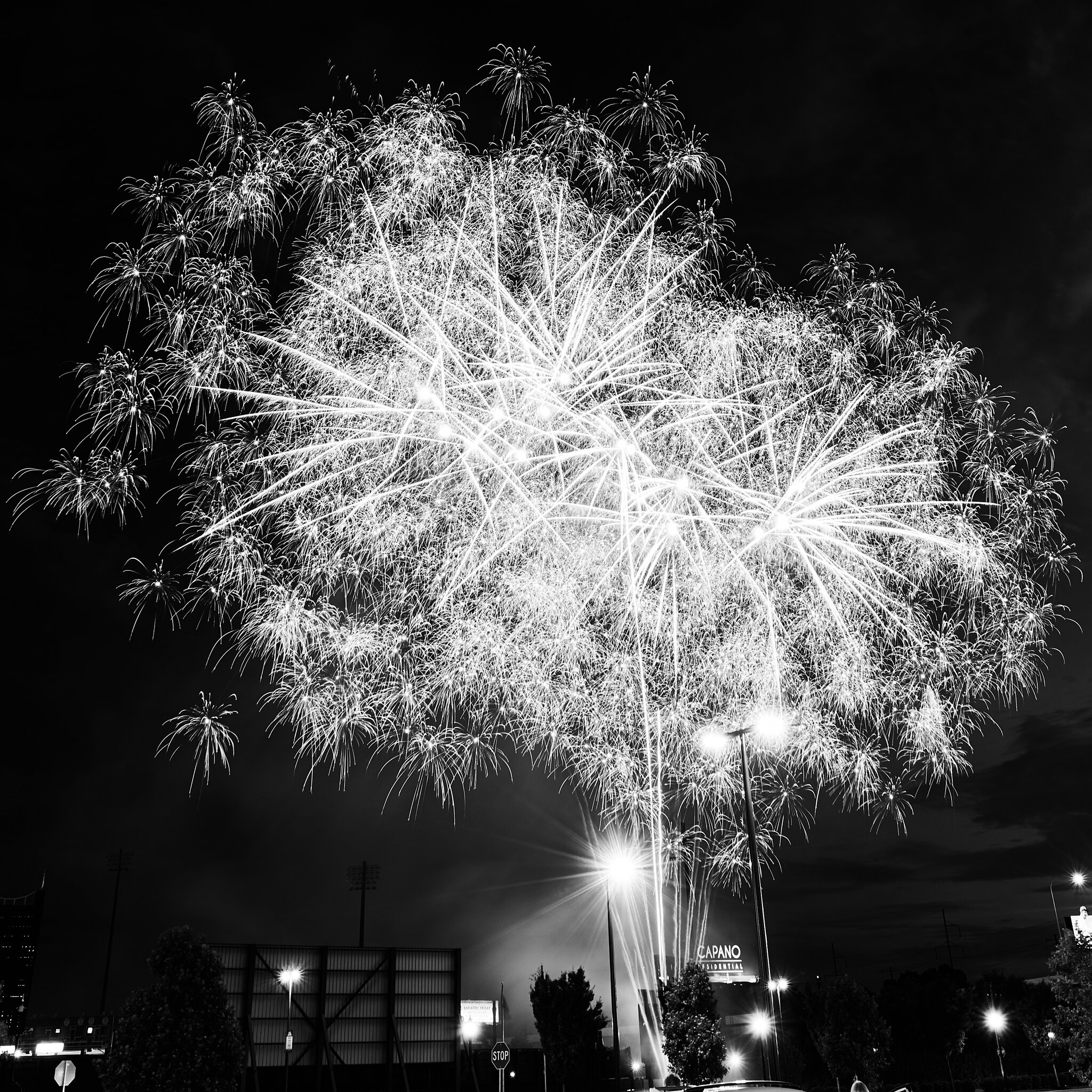AA_00420.jpg