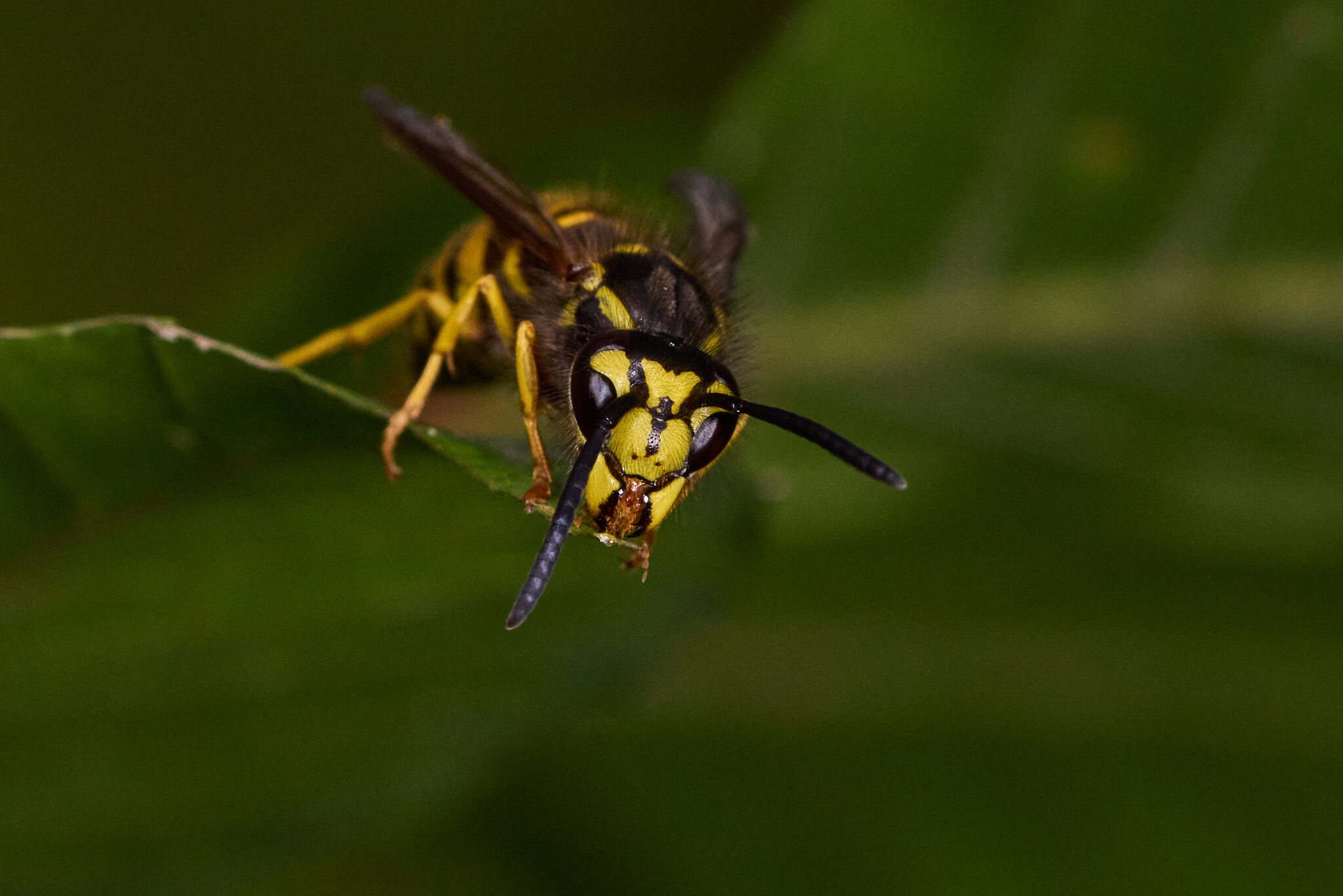 AA_00662.jpg