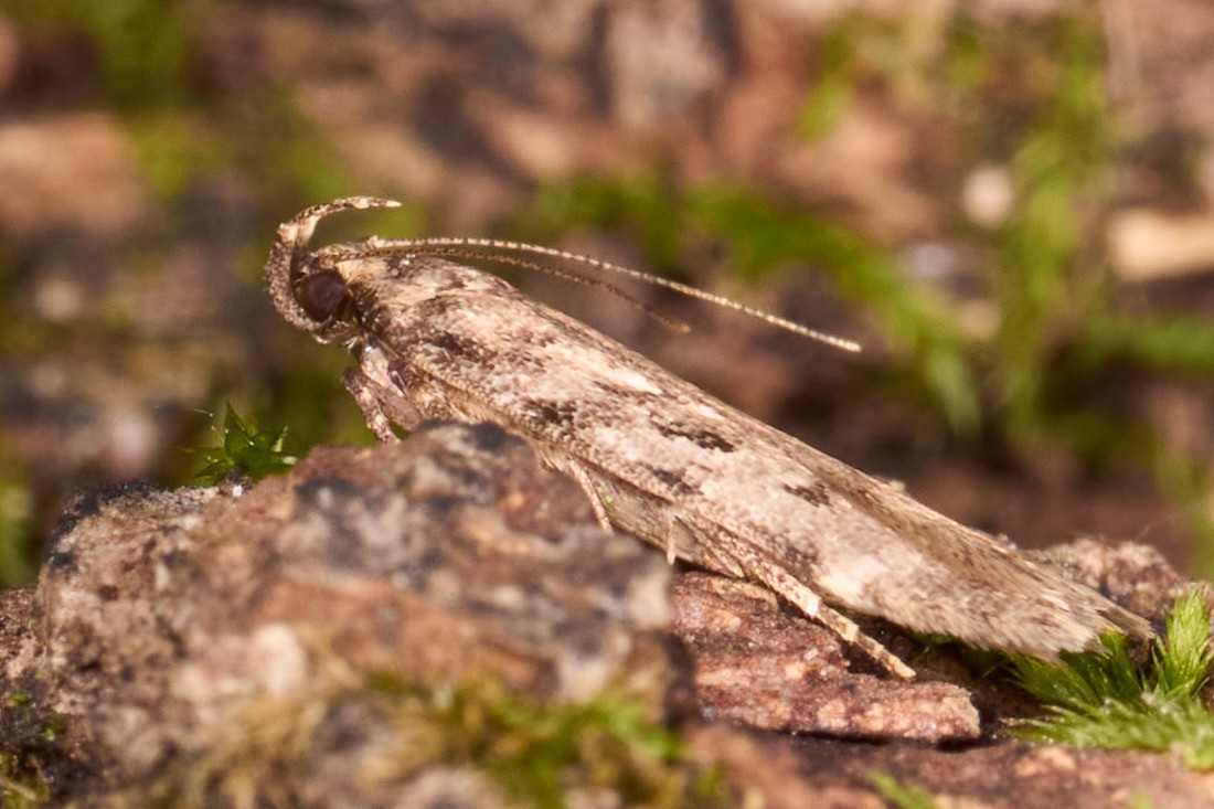 AA_03392.jpg