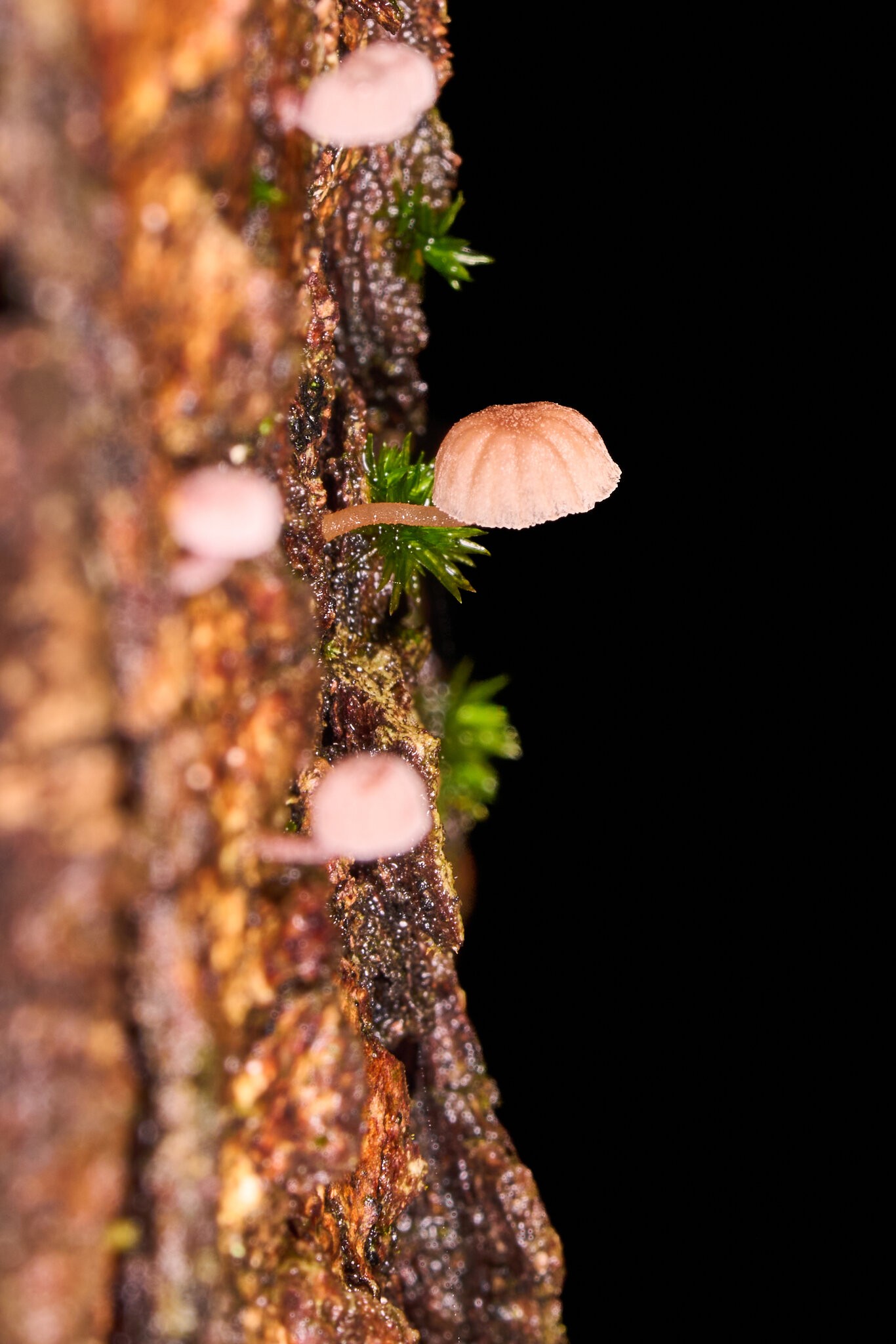 AA_08656.jpg