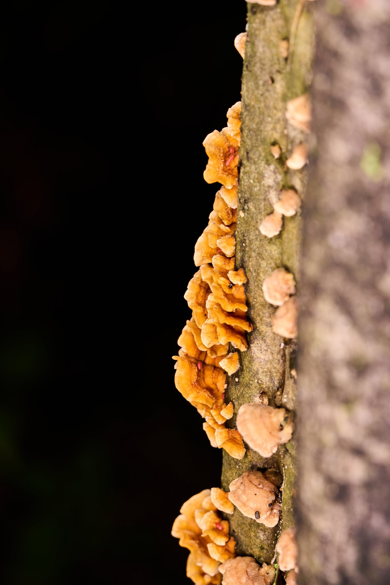AA_08662.jpg