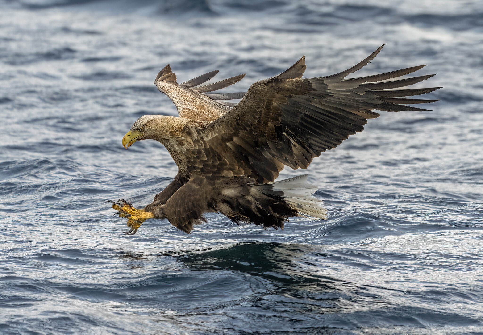 About To Catch .jpg