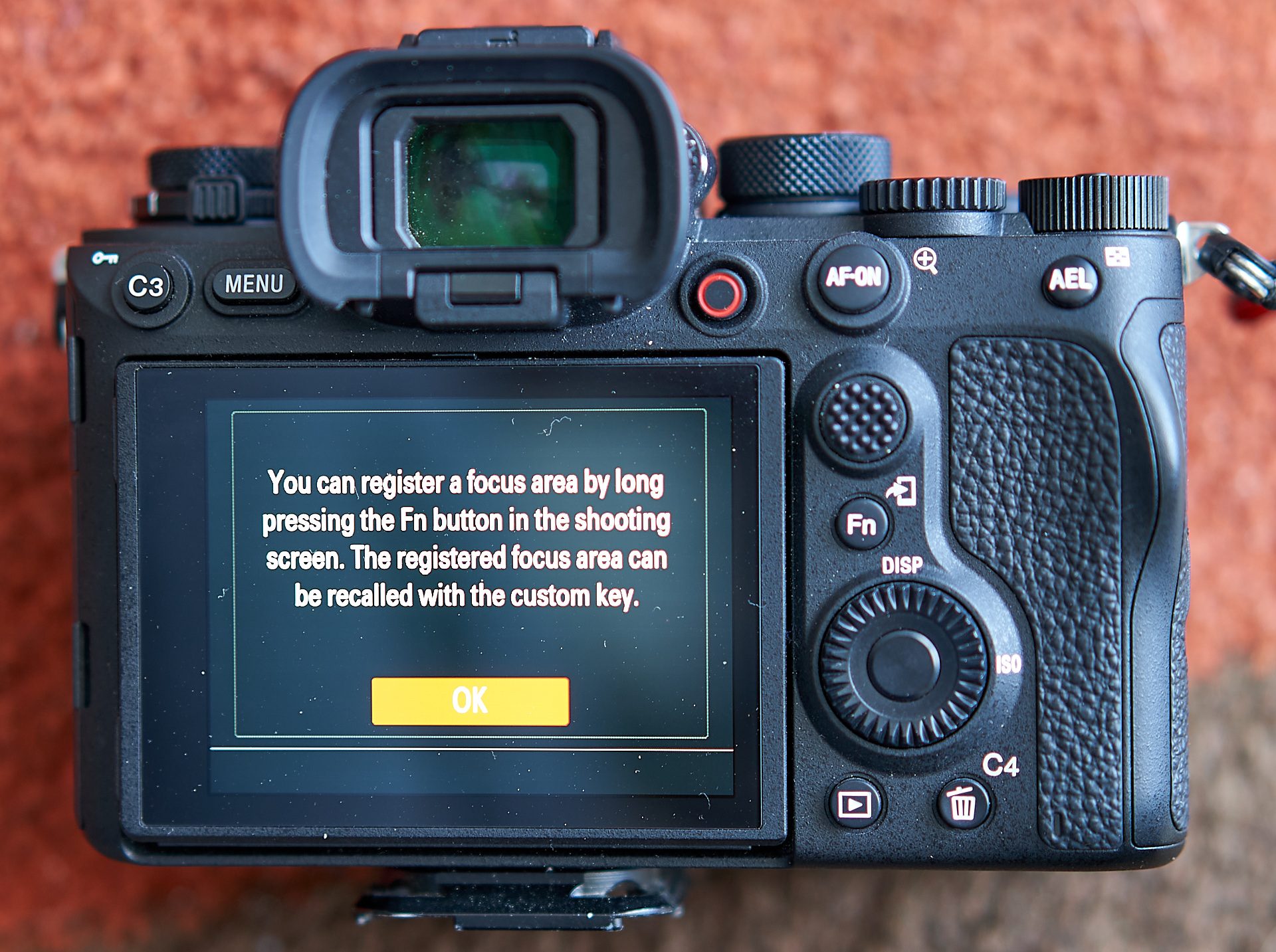 AF-RegArea-7M3_54750-Web.jpg