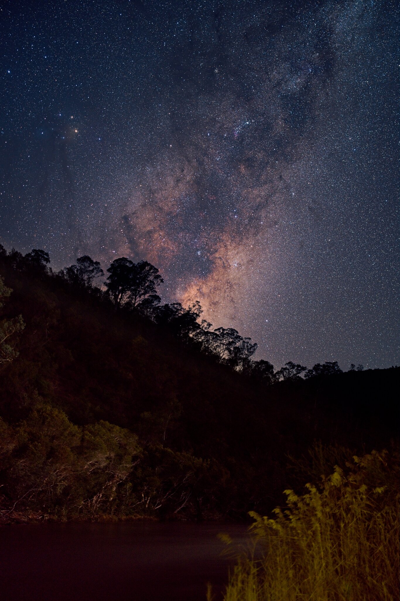 Angusvale P6.jpg