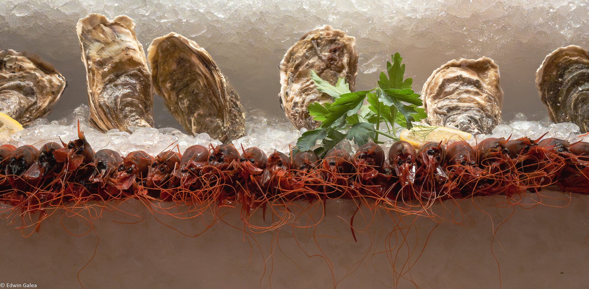 barrafina-3.jpg