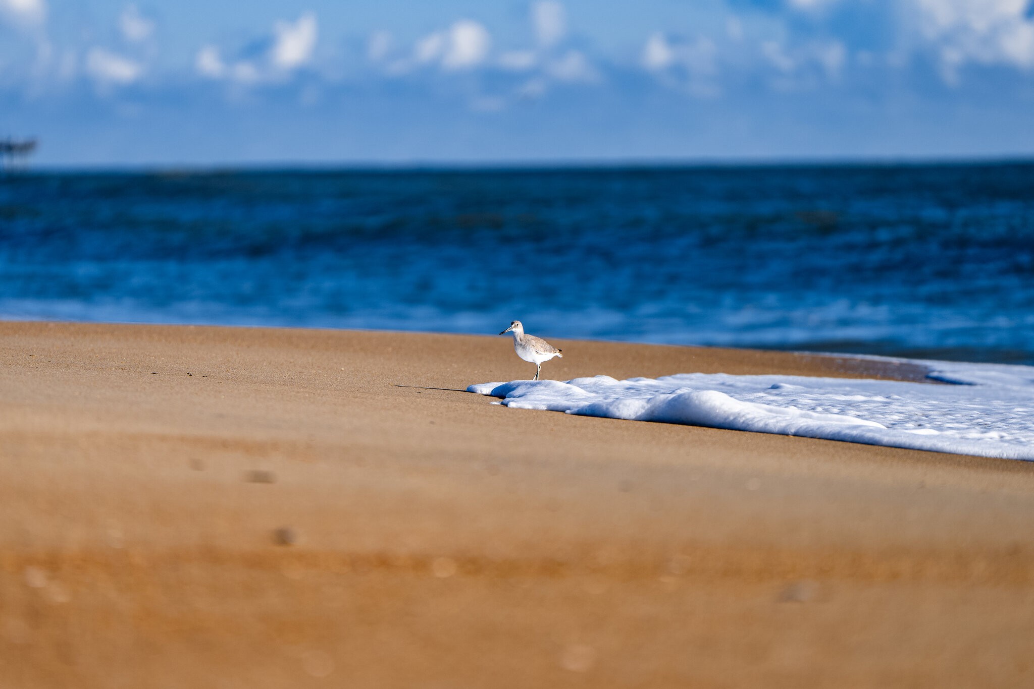 beach-1-14.jpg