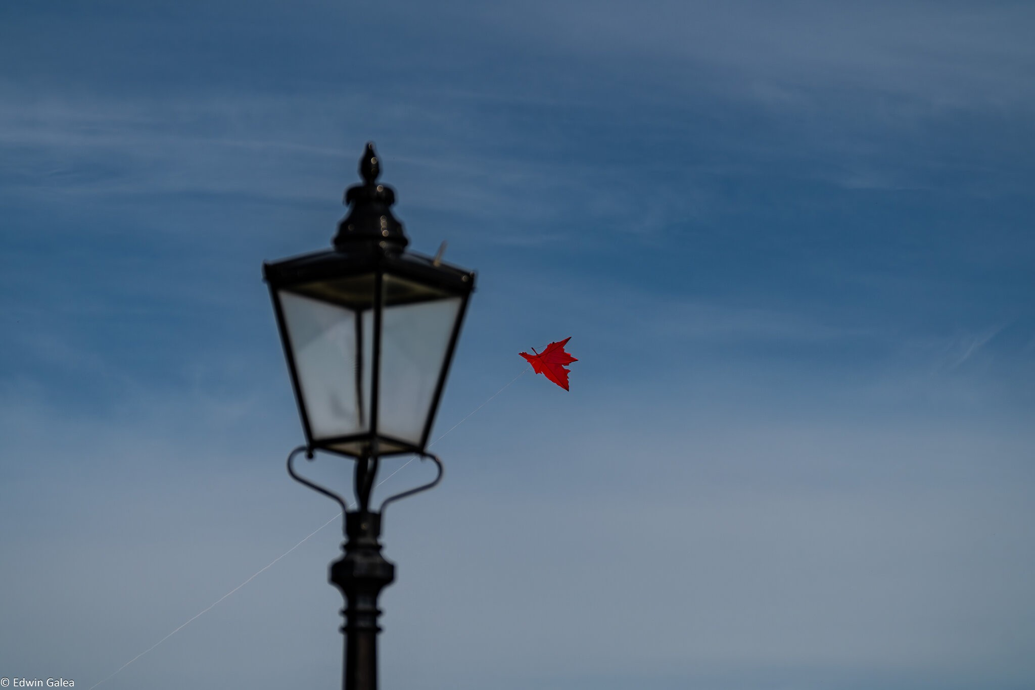 blackheath_kite_day-2.jpg