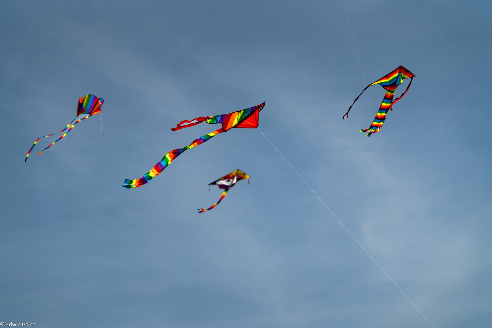 blackheath_kite_day-9.jpg