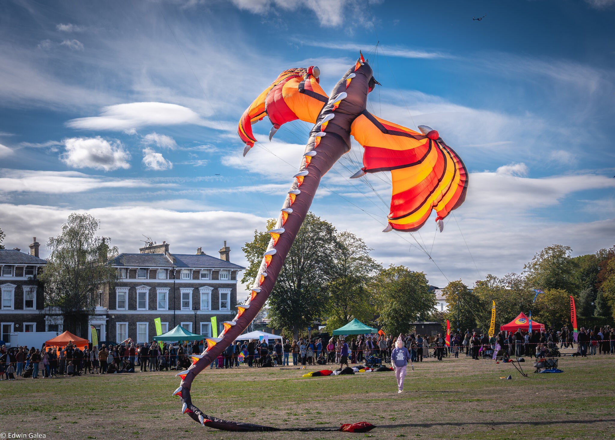 blackheath_kites-3.jpg