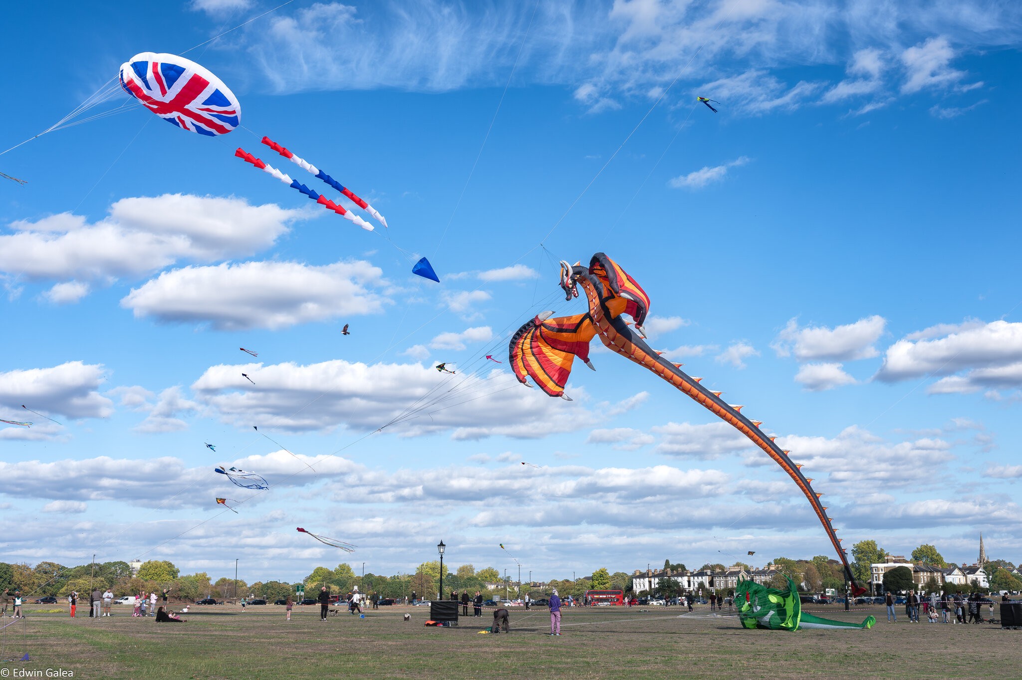 blackheath_kites-4.jpg
