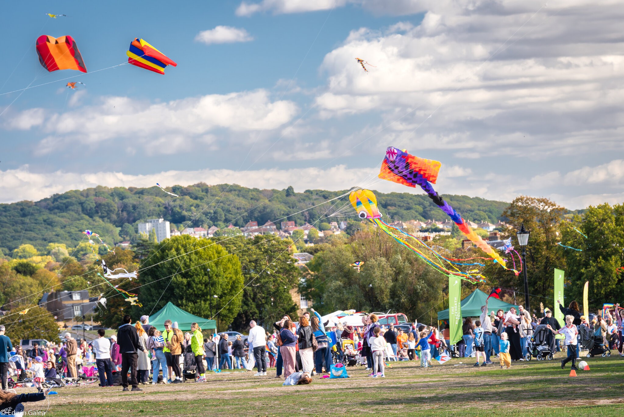 blackheath_kites-5.jpg