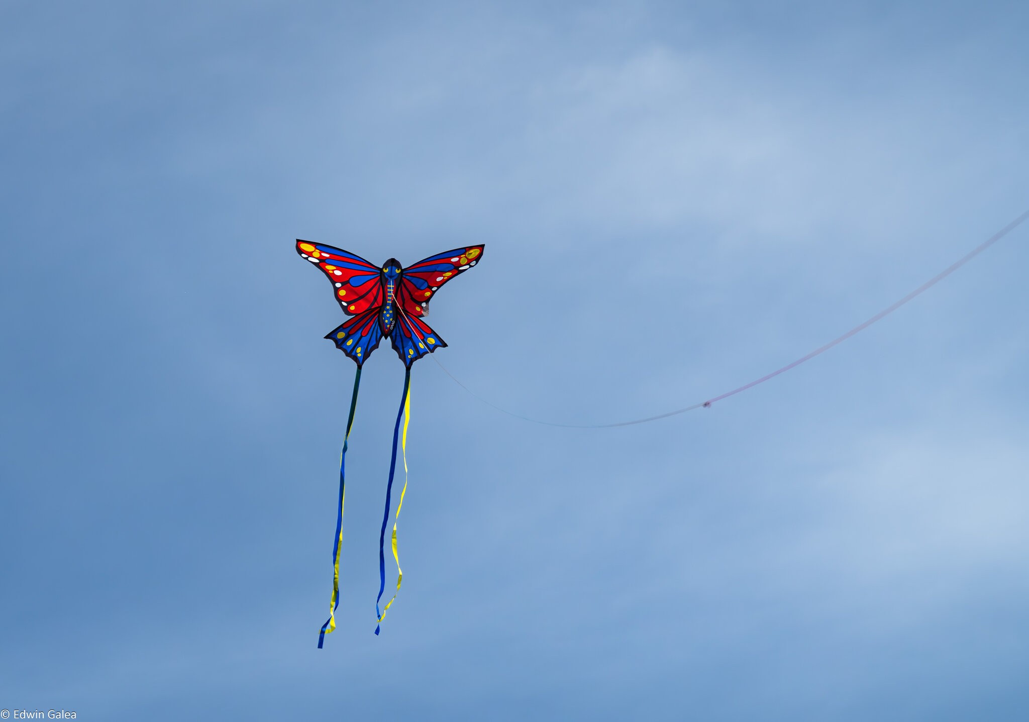 butterfly kite-2.jpg