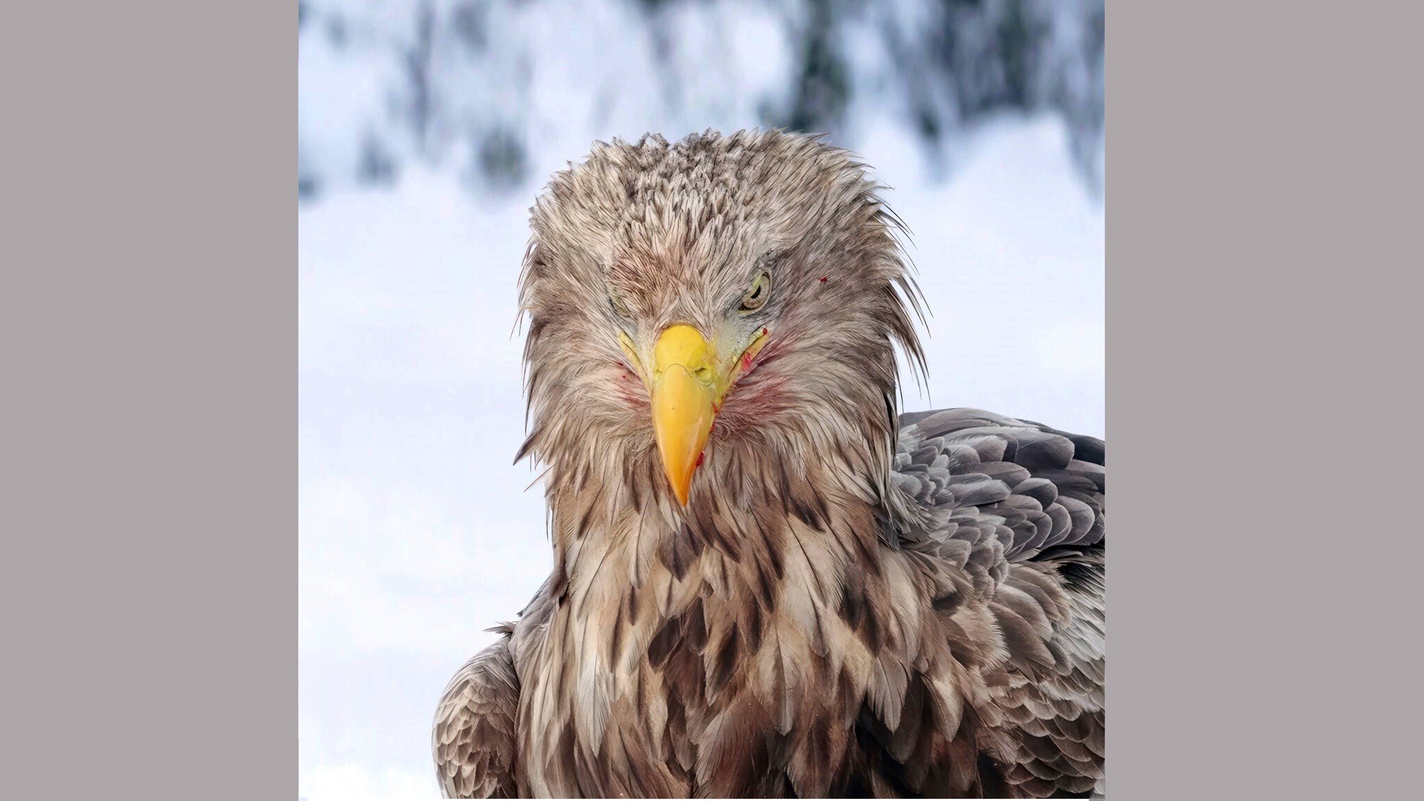 C0102 - frame at 0m8s.jpg