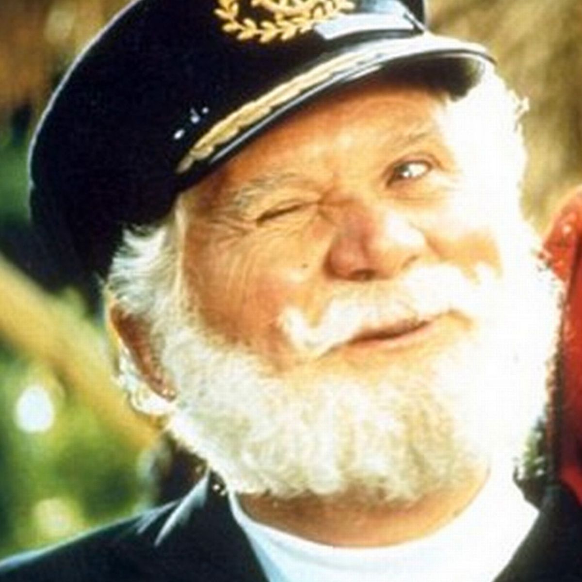 Captain-Birds-Eye.jpg