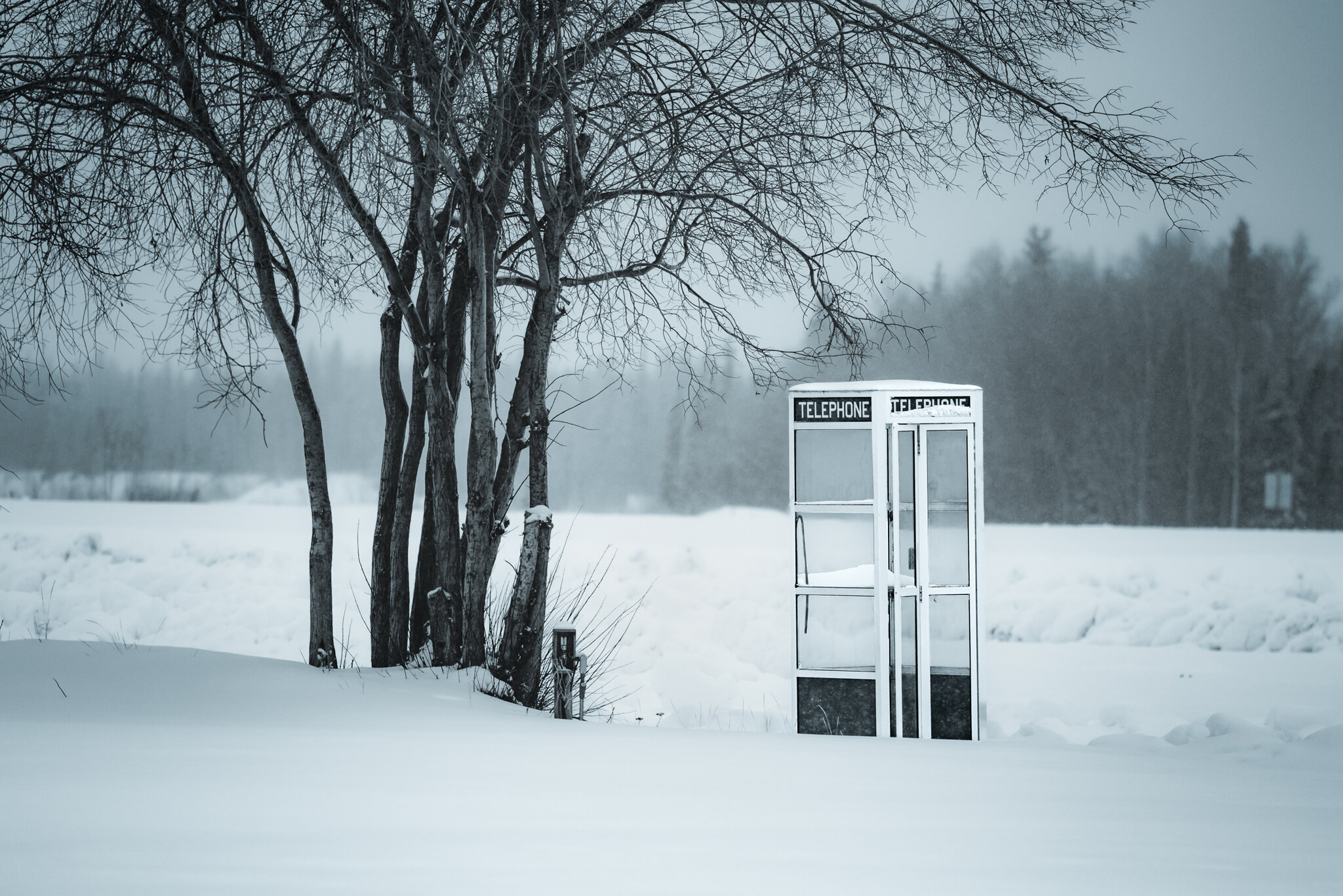 Cold and Abandonded.jpg