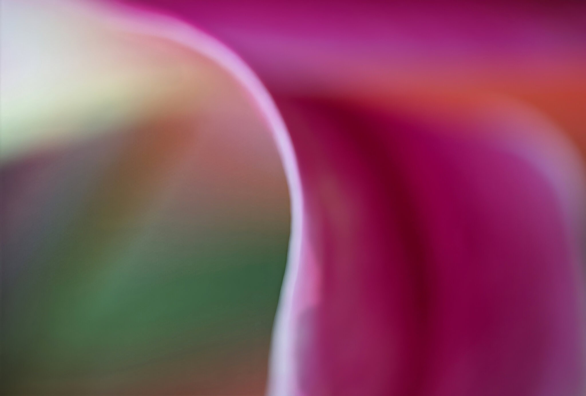 Colorful.jpeg