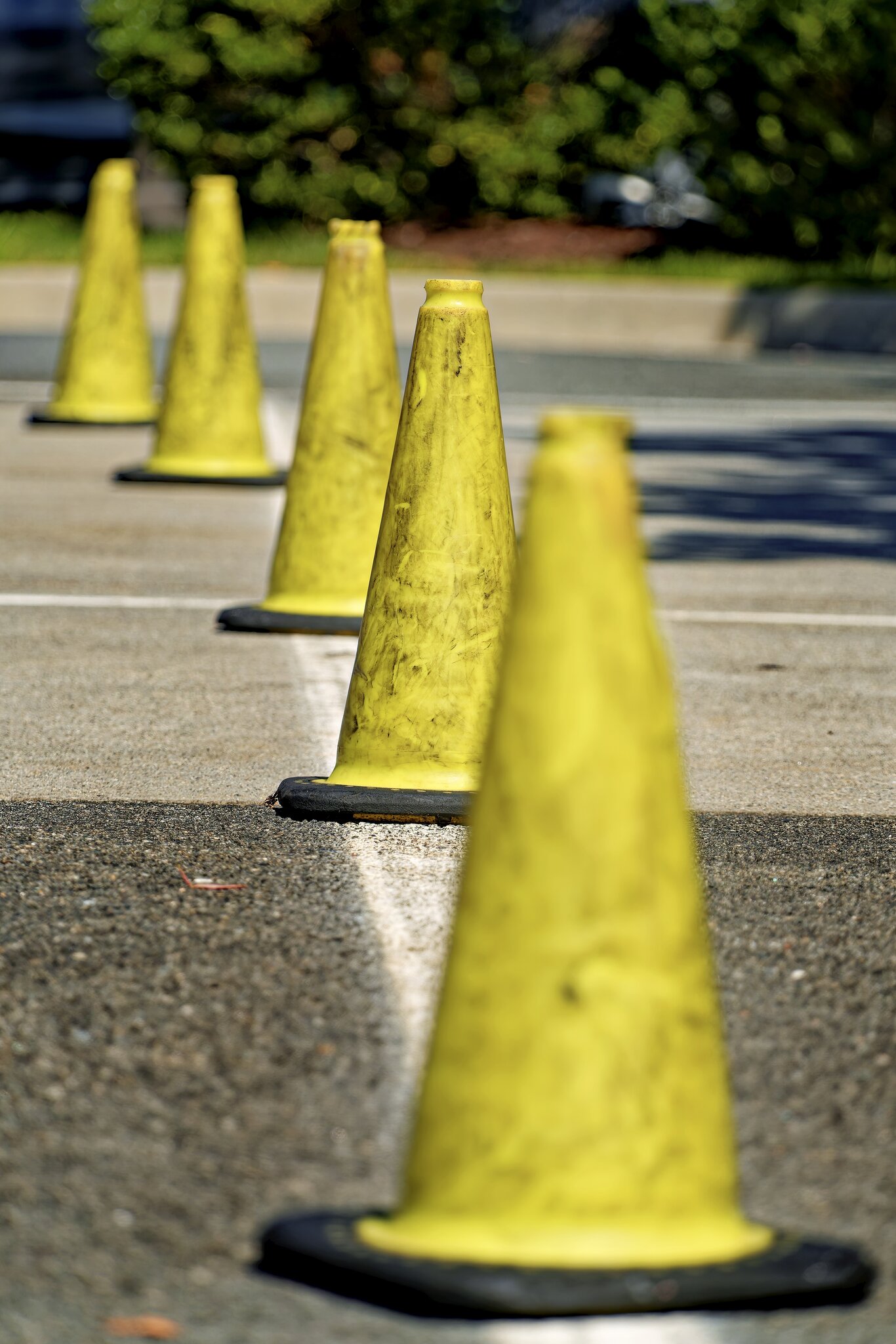 Cones.jpg