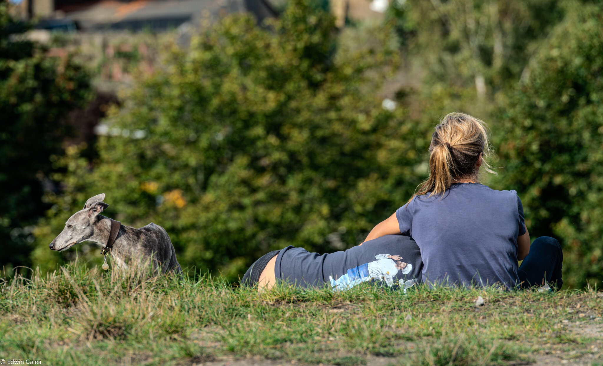 couple and dog_greenwich_park-1.jpg