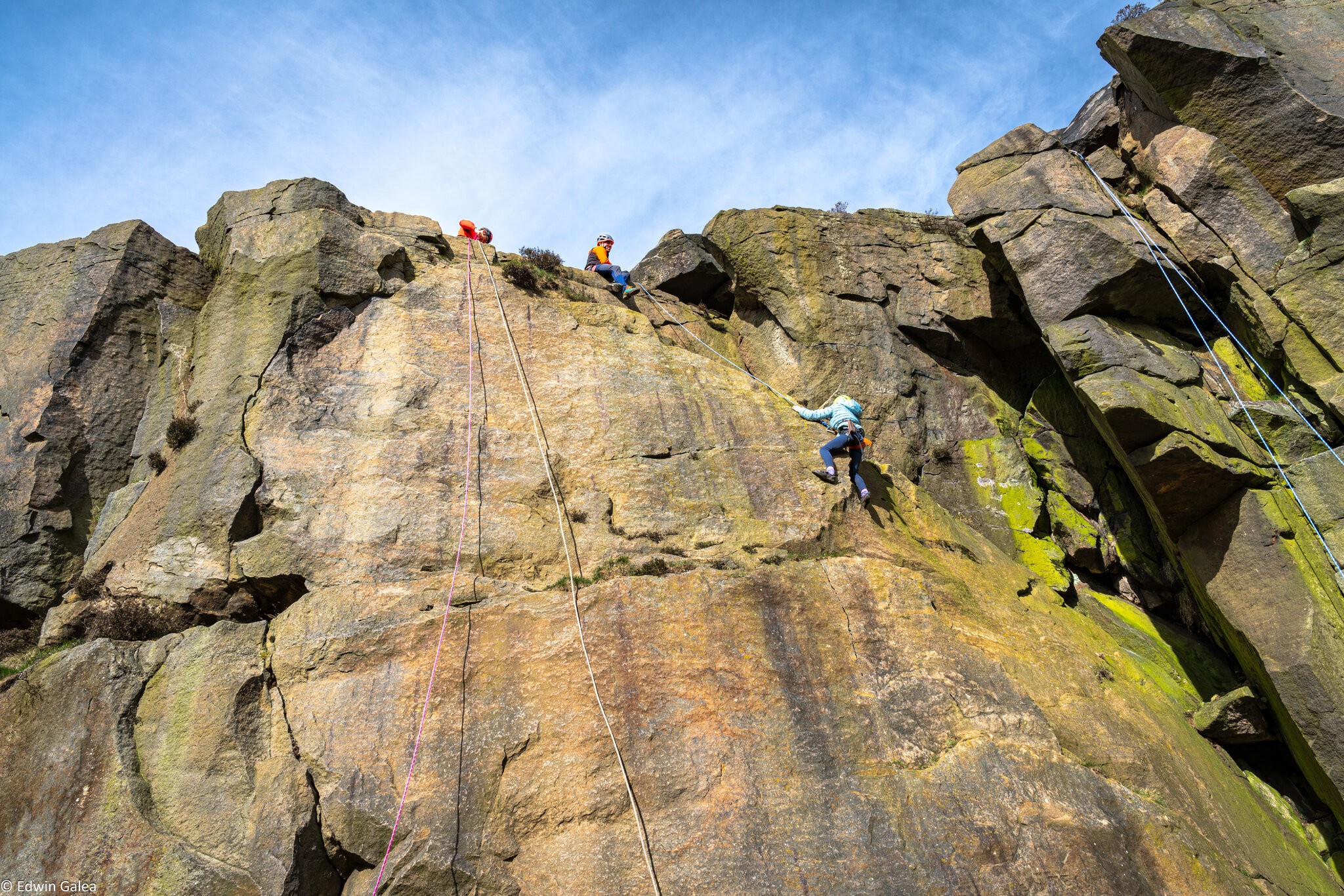 cow and calf Yorkshire dales rock climbers-3.jpg
