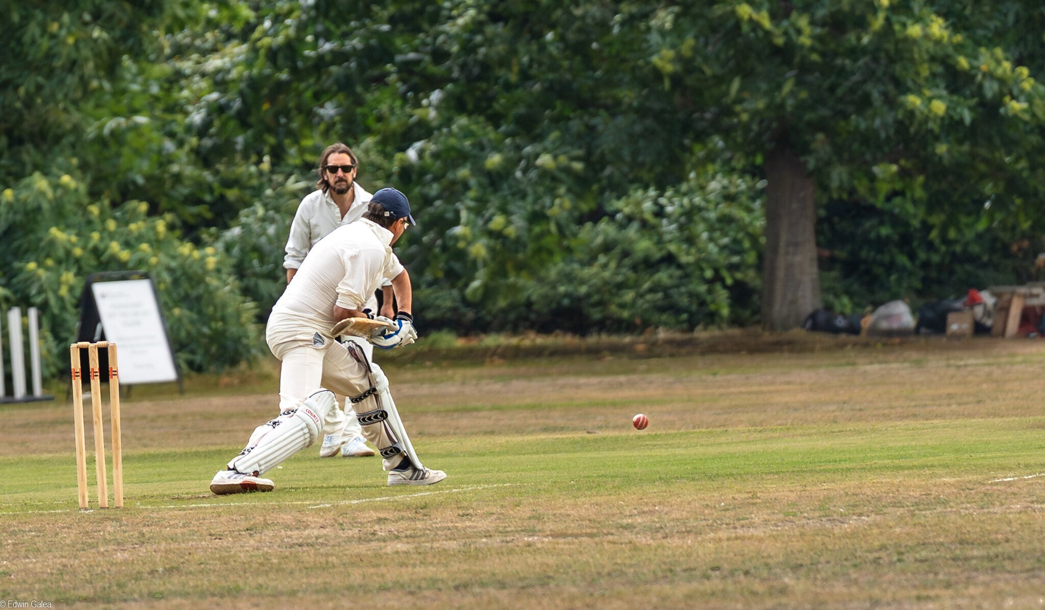 cricket -1.jpg