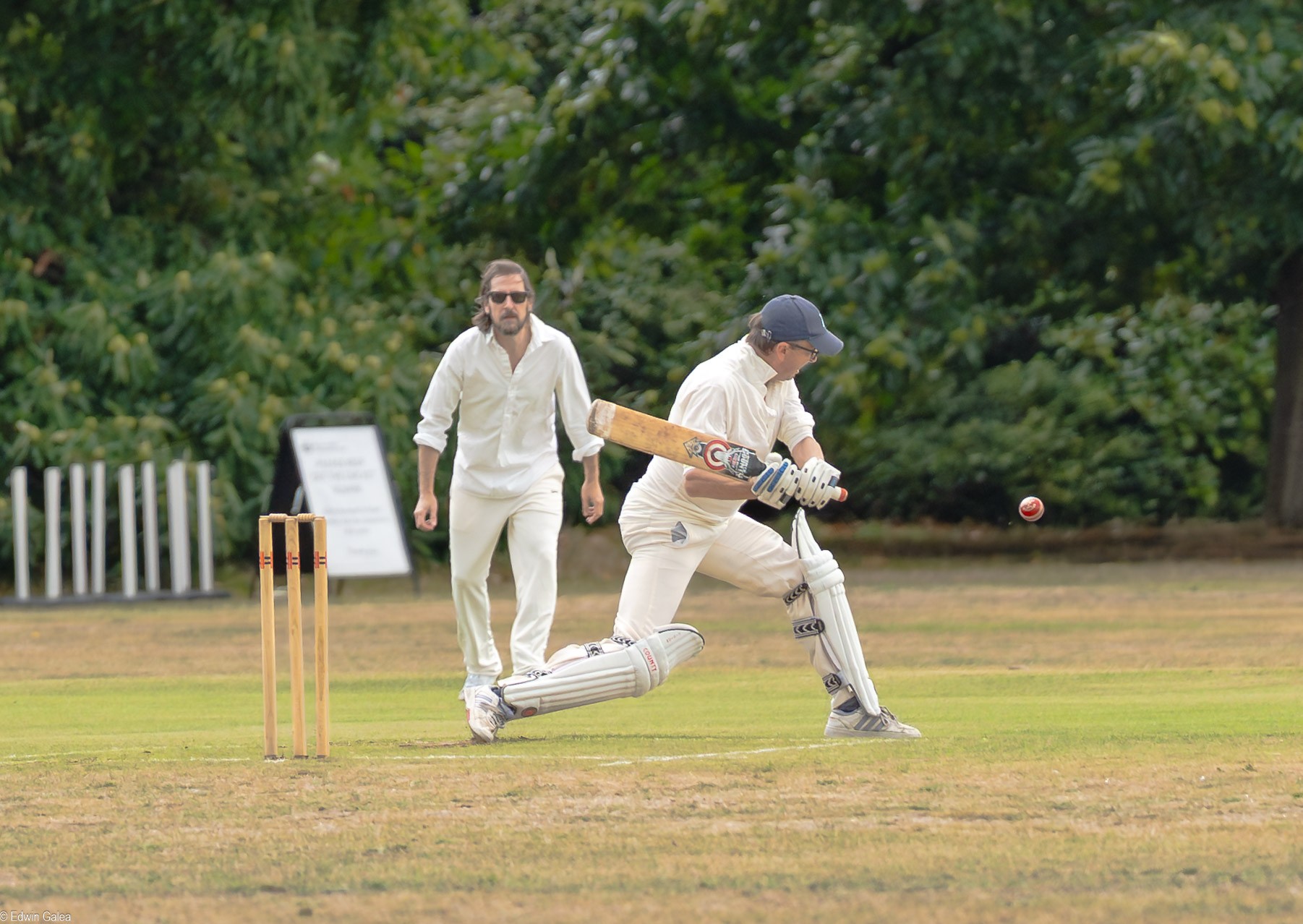 cricket -2.jpg