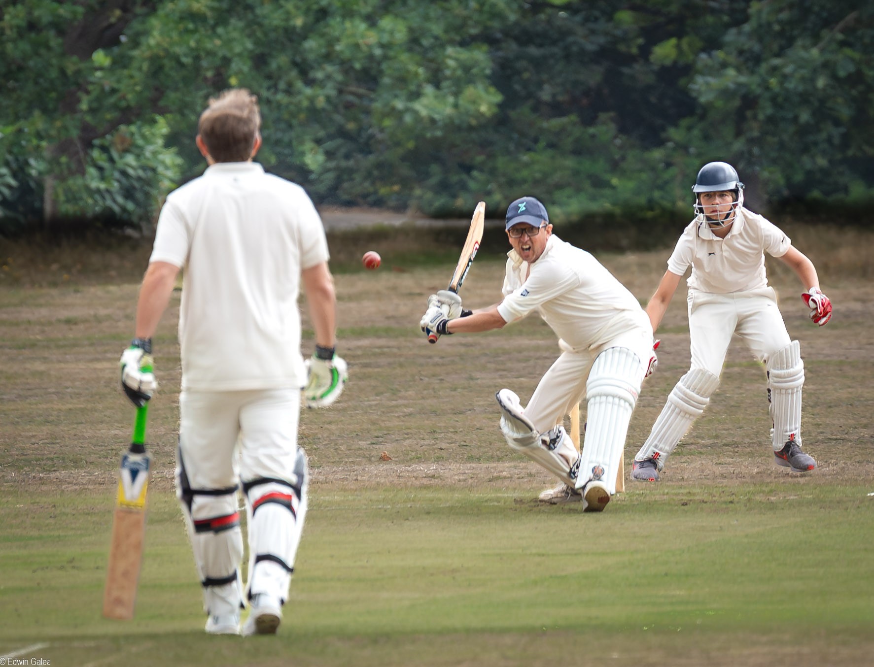 cricket -3.jpg