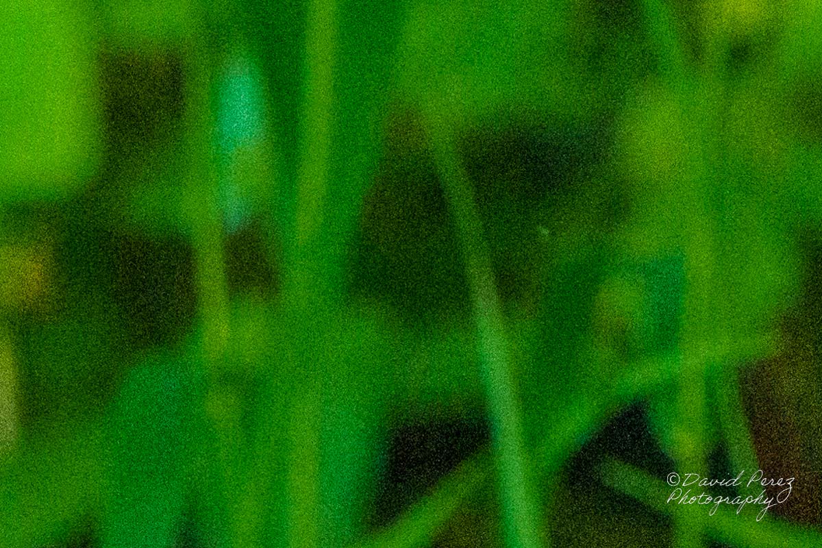 crop original.jpg