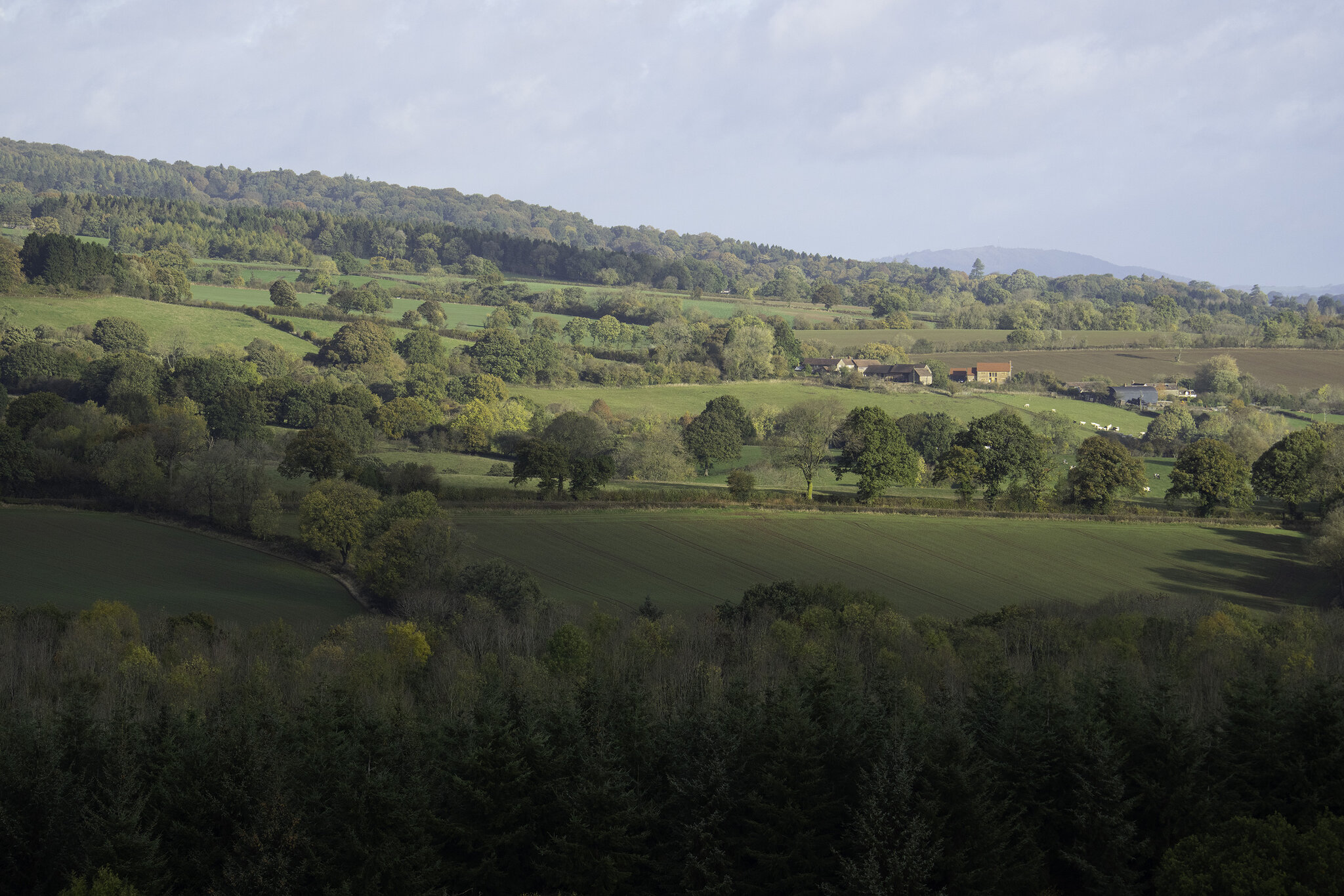 DSC01008-Shropshire.jpg
