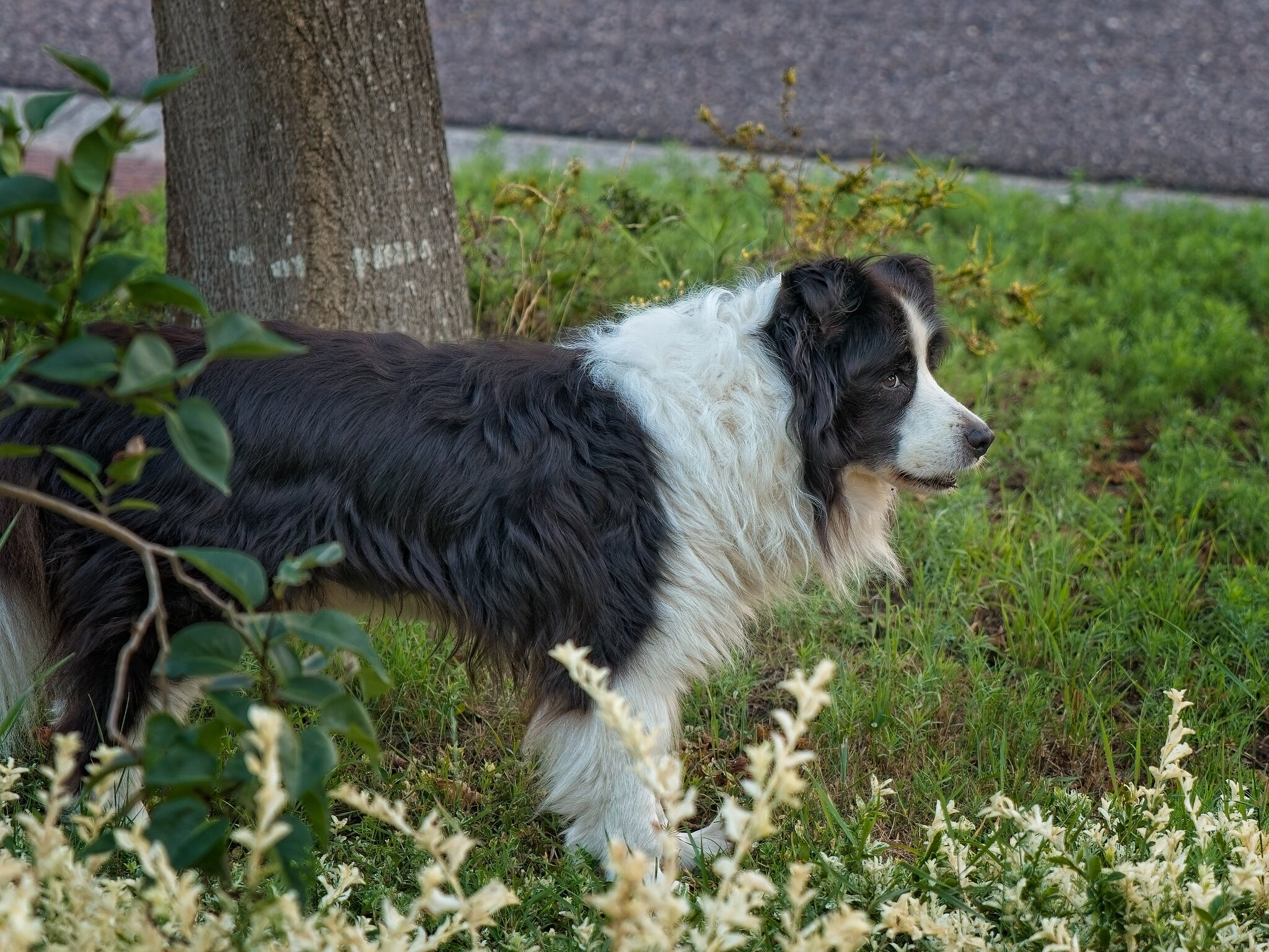 DSC01099.jpg