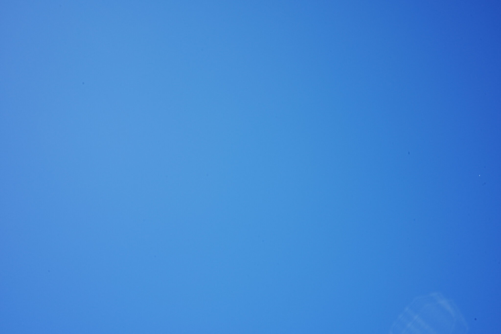 DSC01218.jpeg