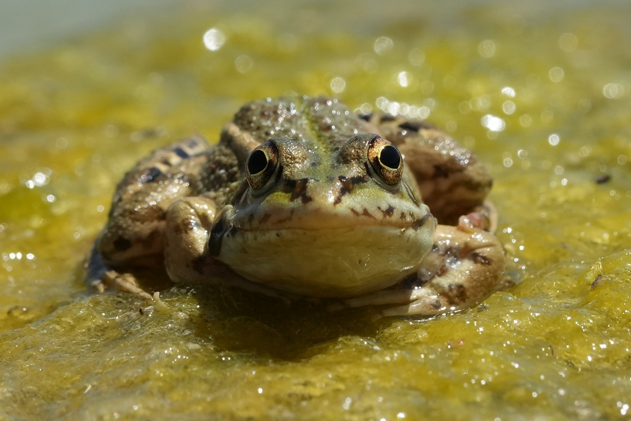 DSC01820.JPG