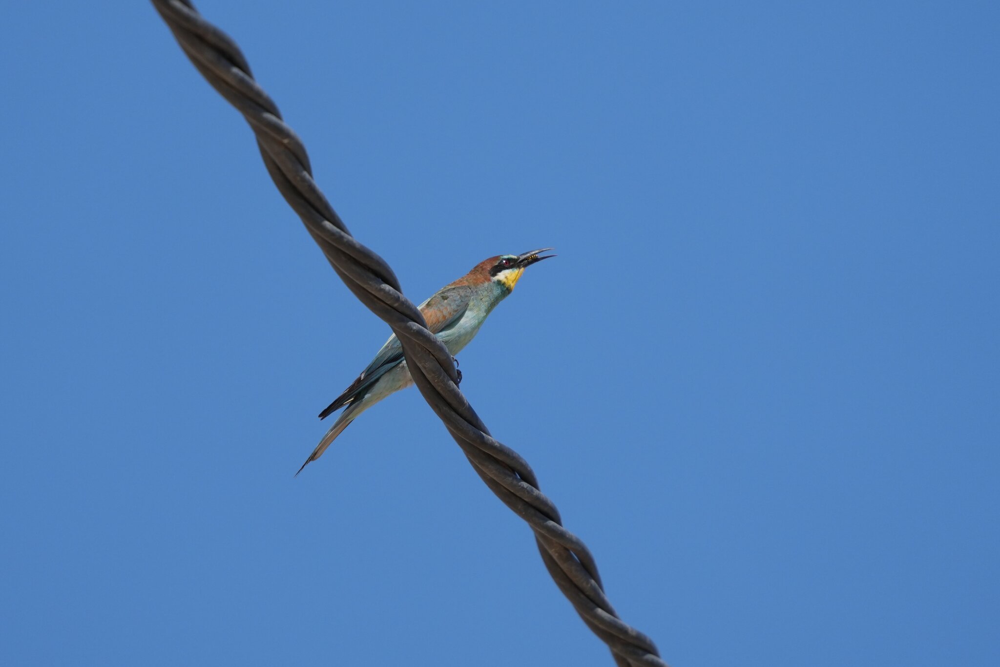 DSC02009a.JPG