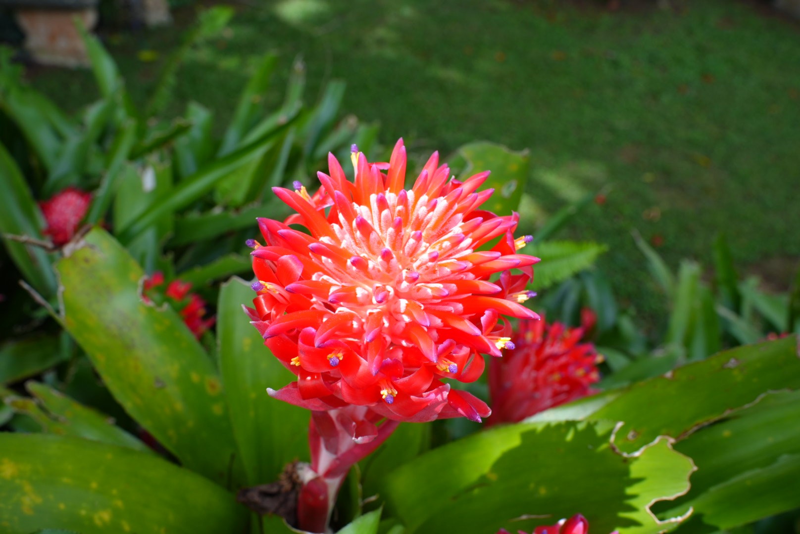 DSC02258.JPG