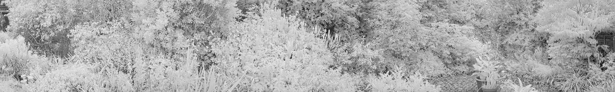 DSC02503 copy.jpg