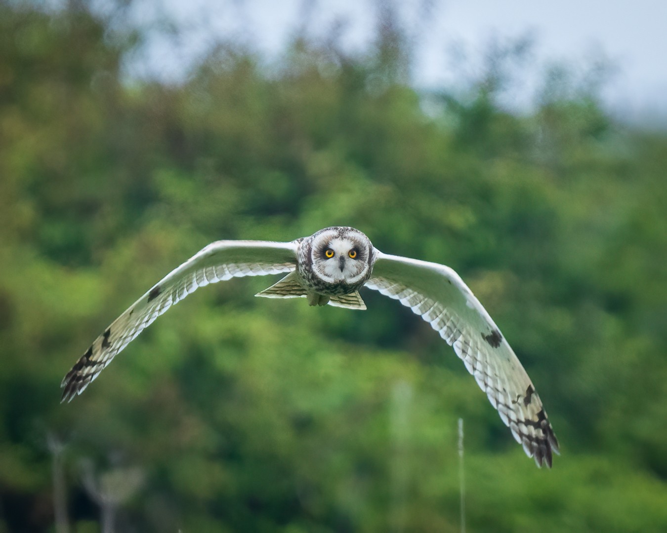 DSC03811-Edit.jpg