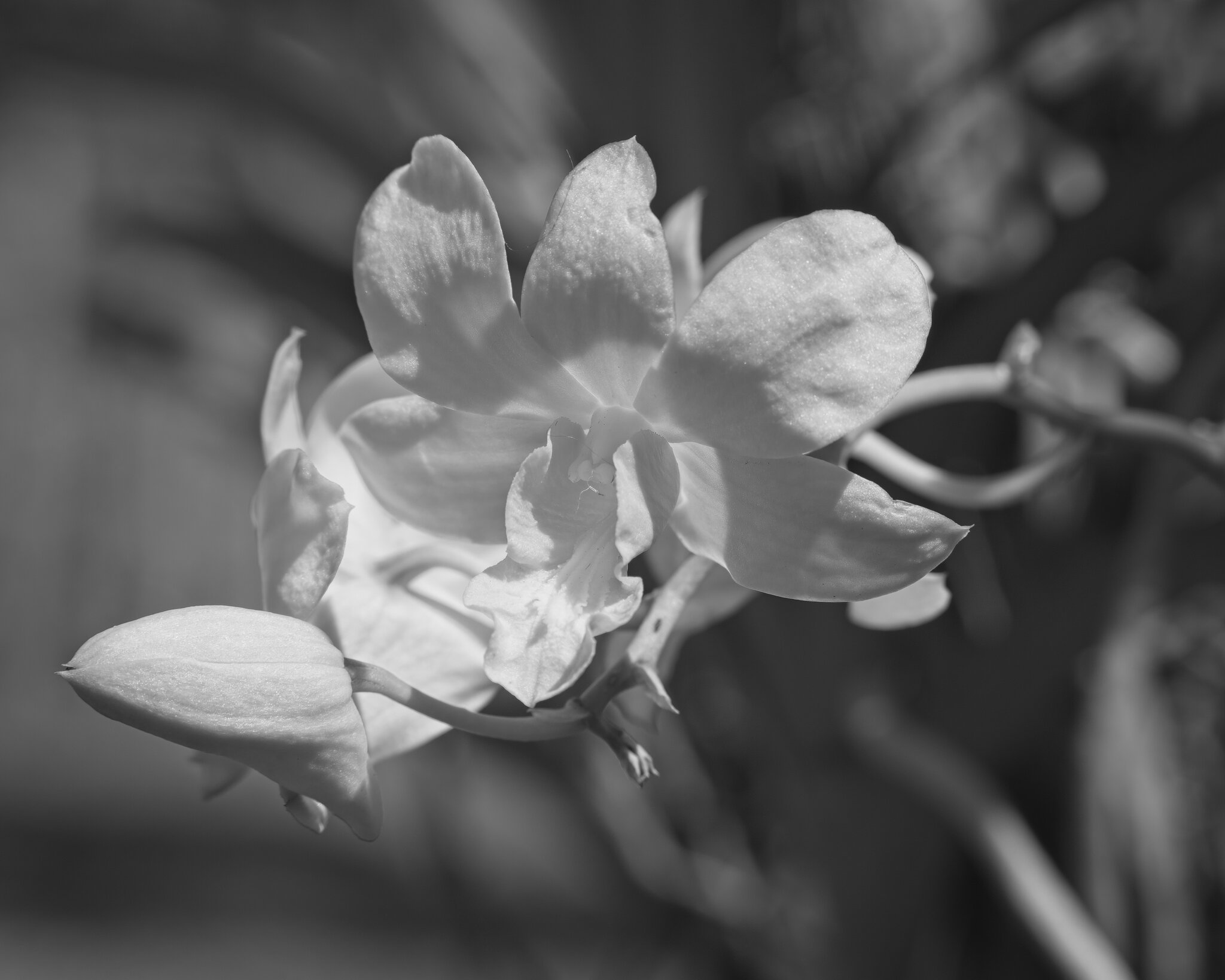 DSC03892 1.jpg