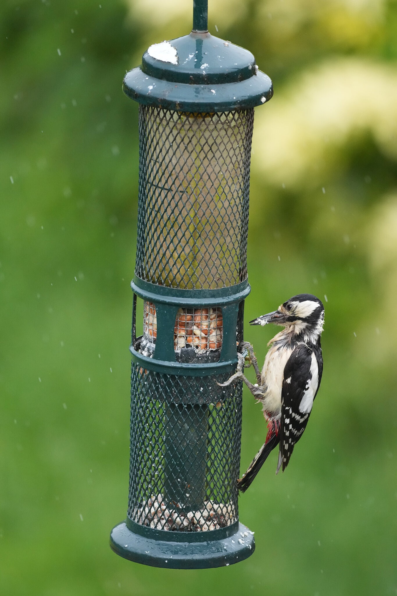 DSC04704-2048px.jpg