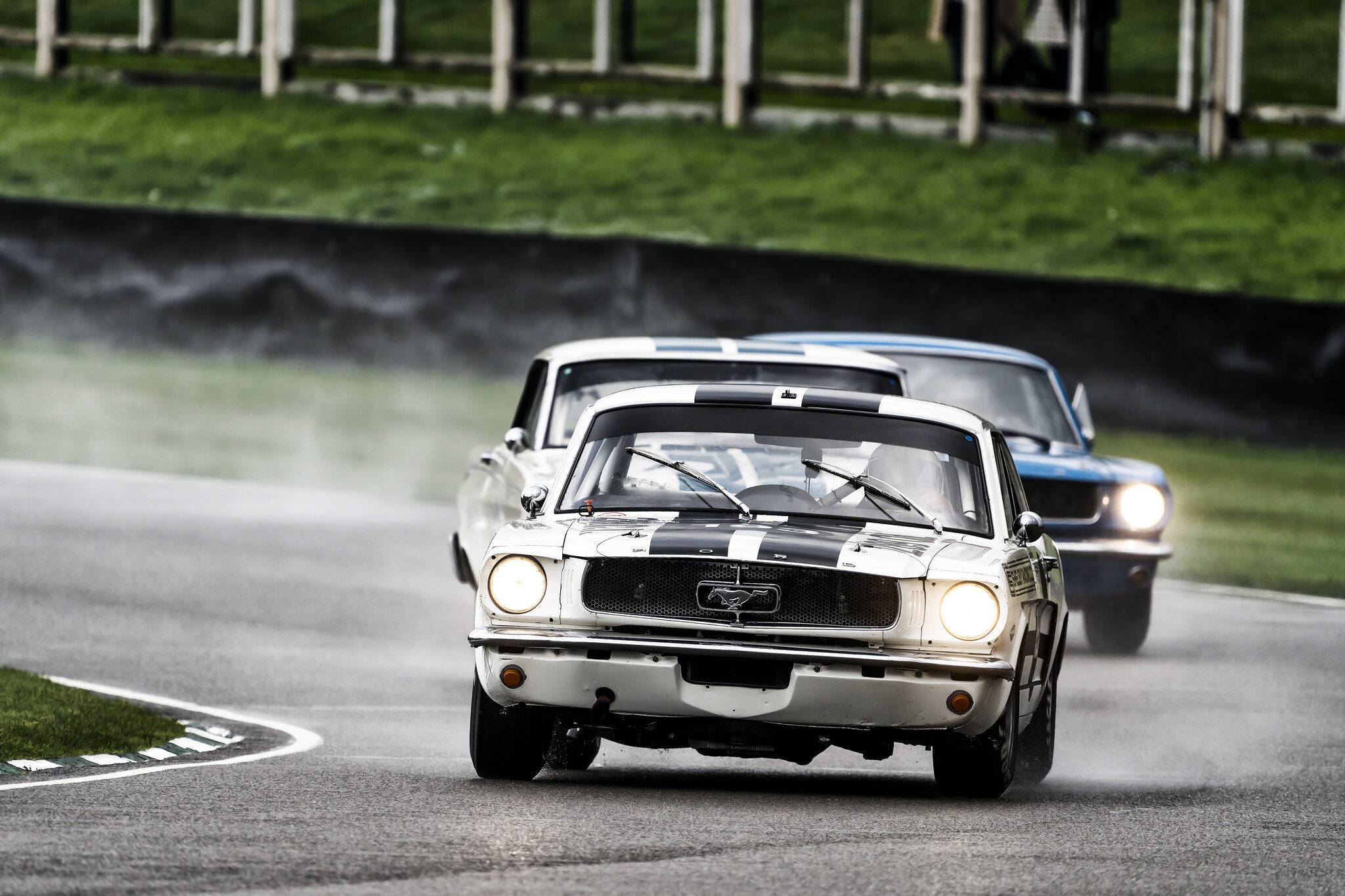 DSC04954-Edit-Edit.jpg