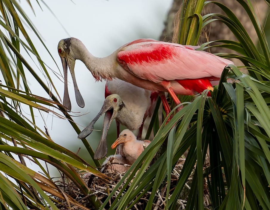 DSC05297-20260319-DxO_DeepPRIME XD3.jpeg