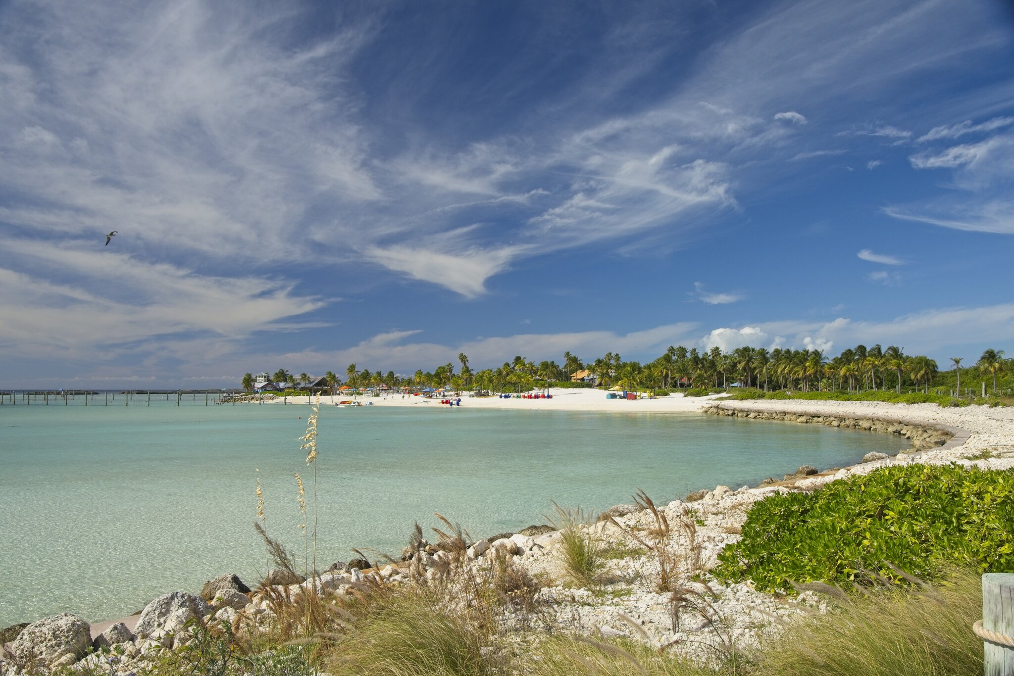 DSC05341.jpg