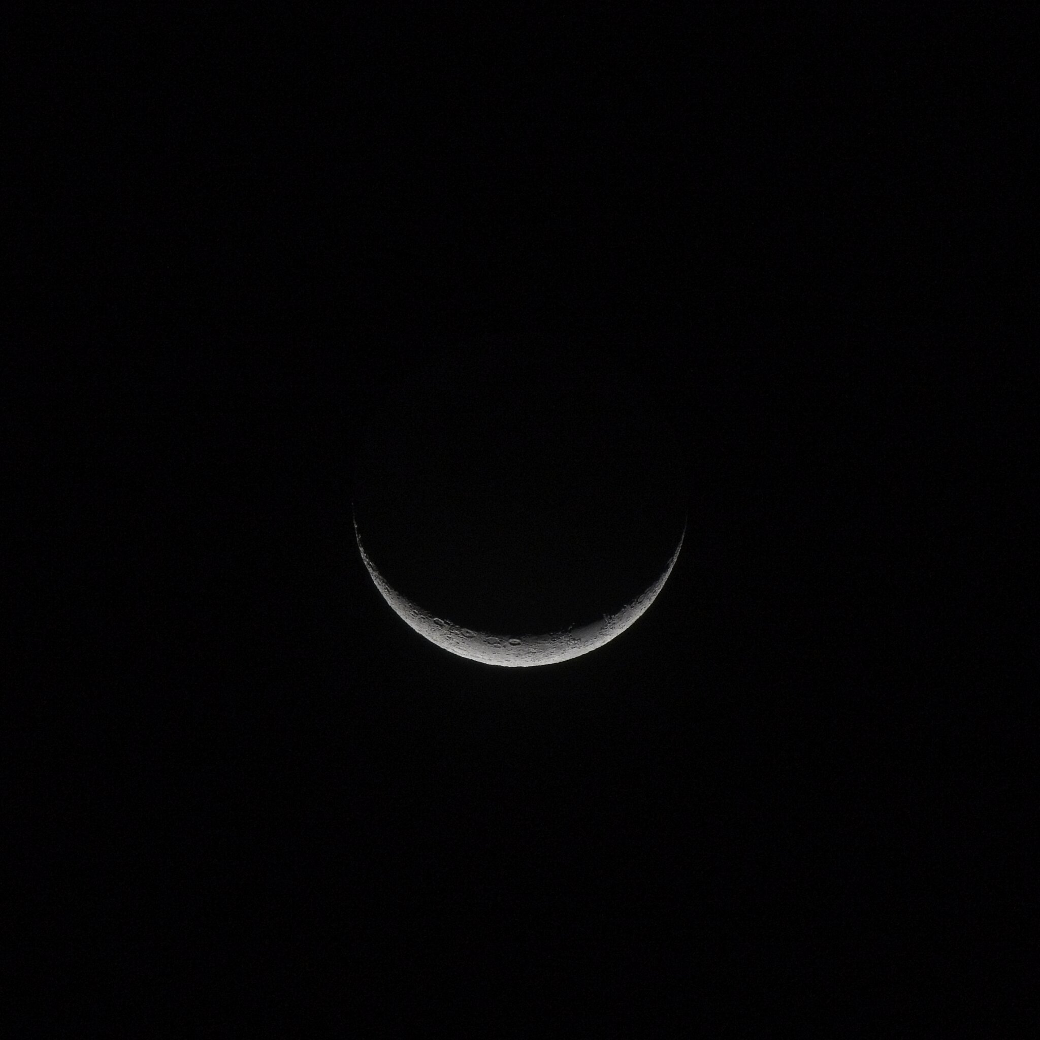 DSC05946.jpg