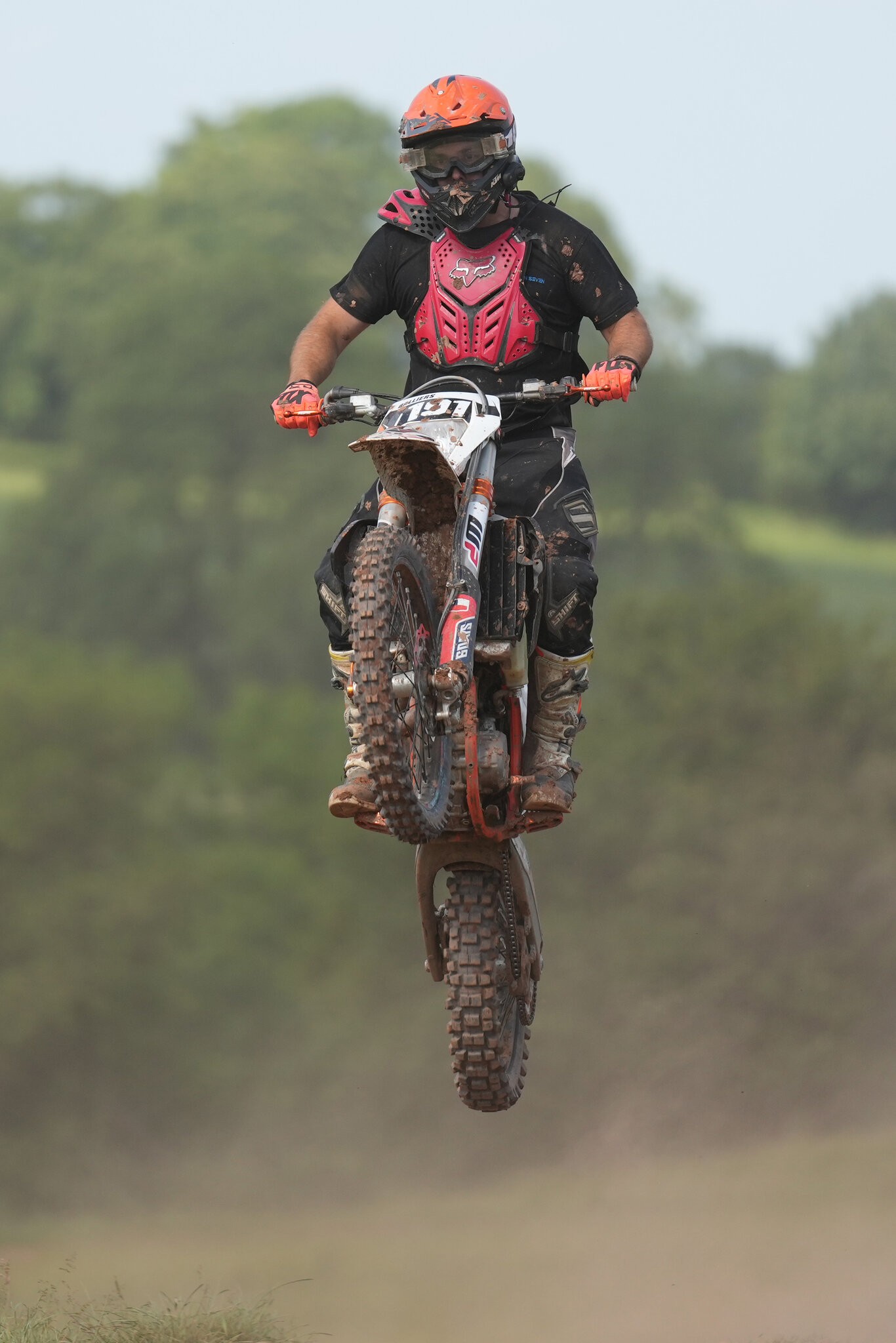 DSC06727-Crop.jpg