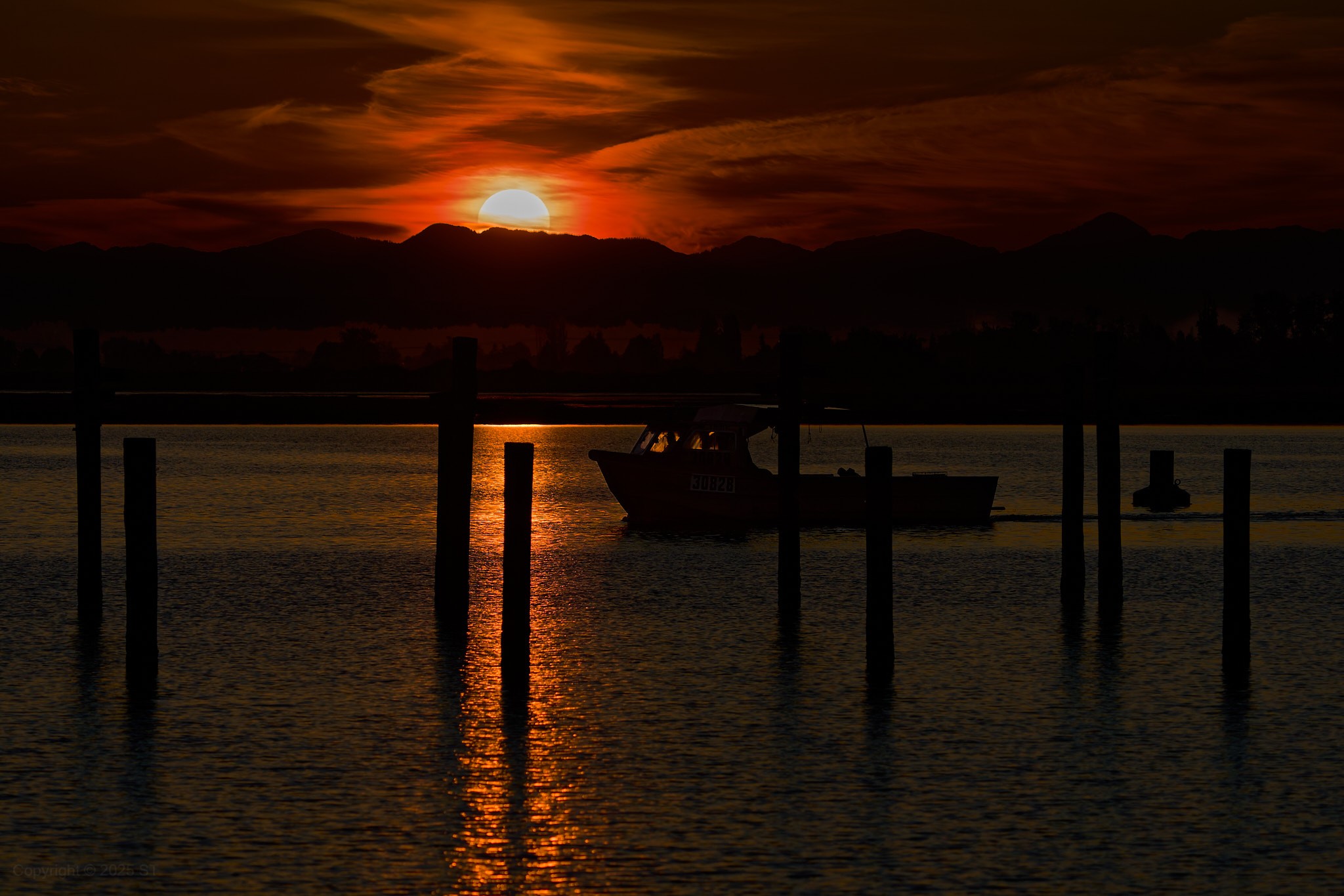DSC07175.jpg