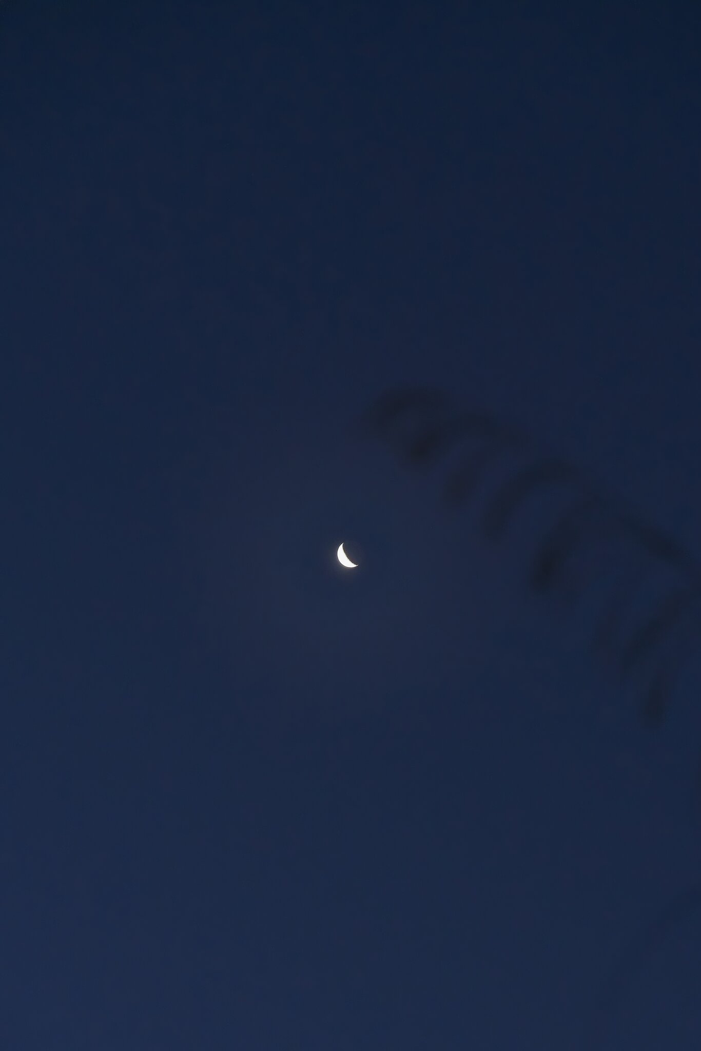 DSC07492.jpg