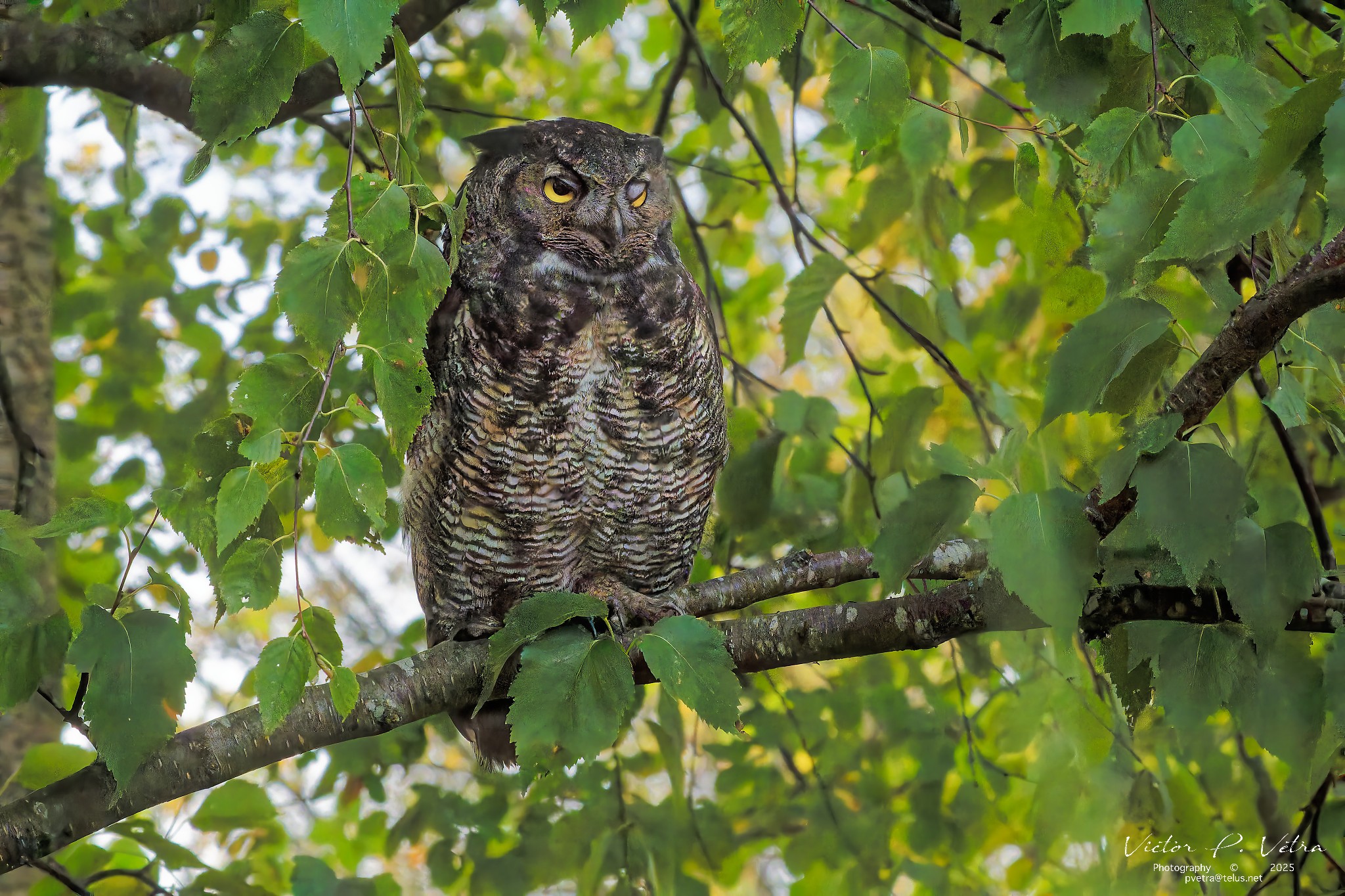DSC07639_DxO.jpg