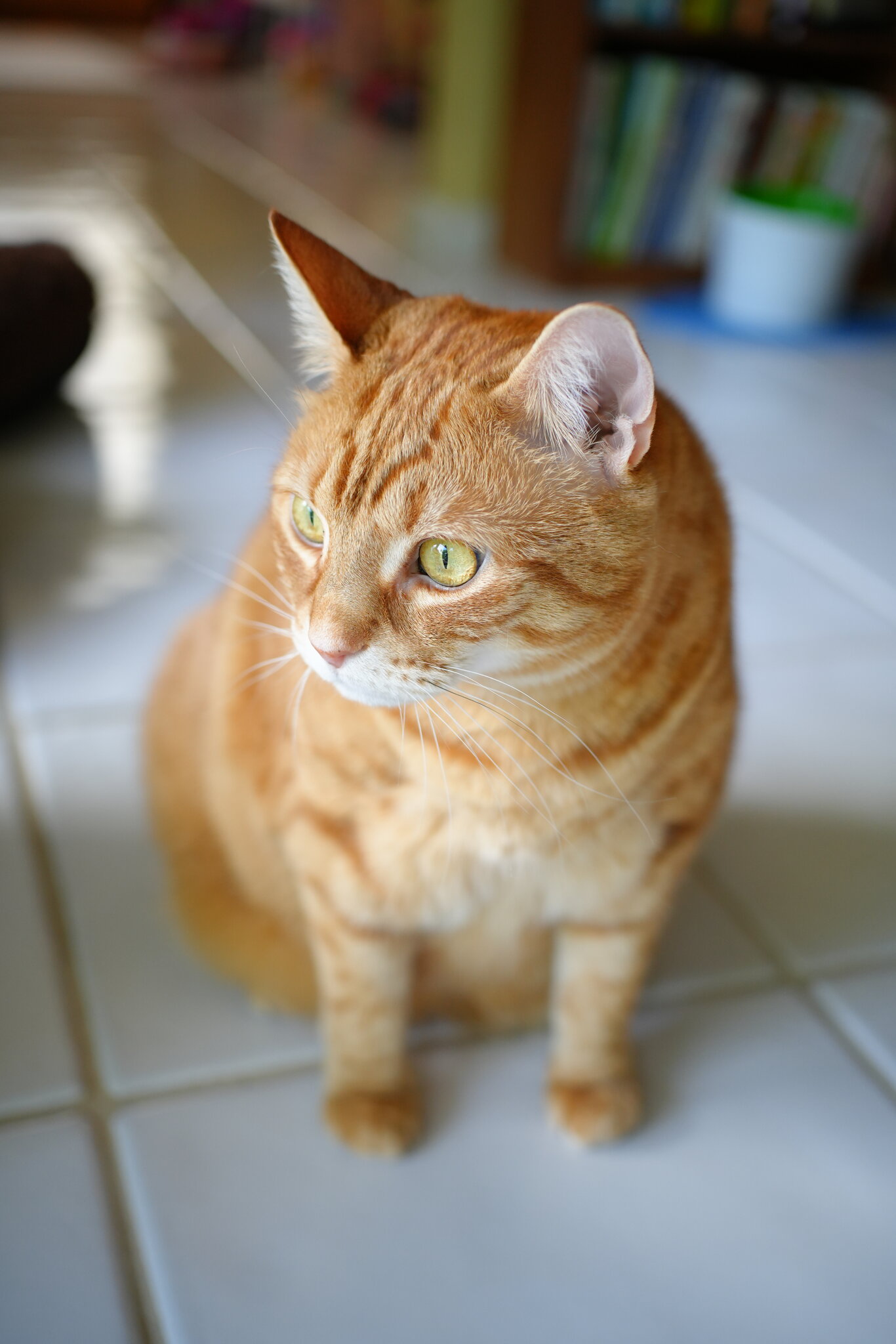 DSC07727.JPG