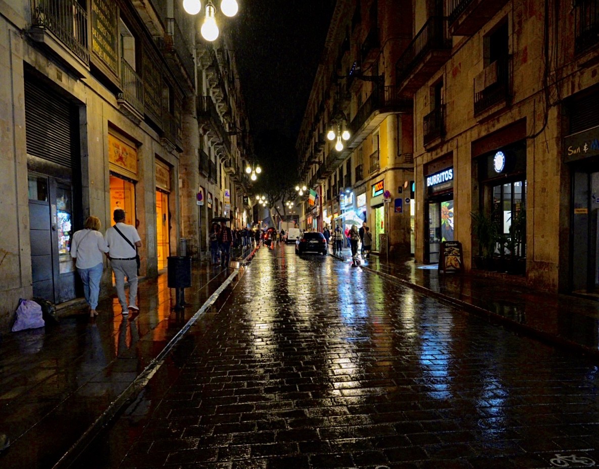 DSC08016.jpeg