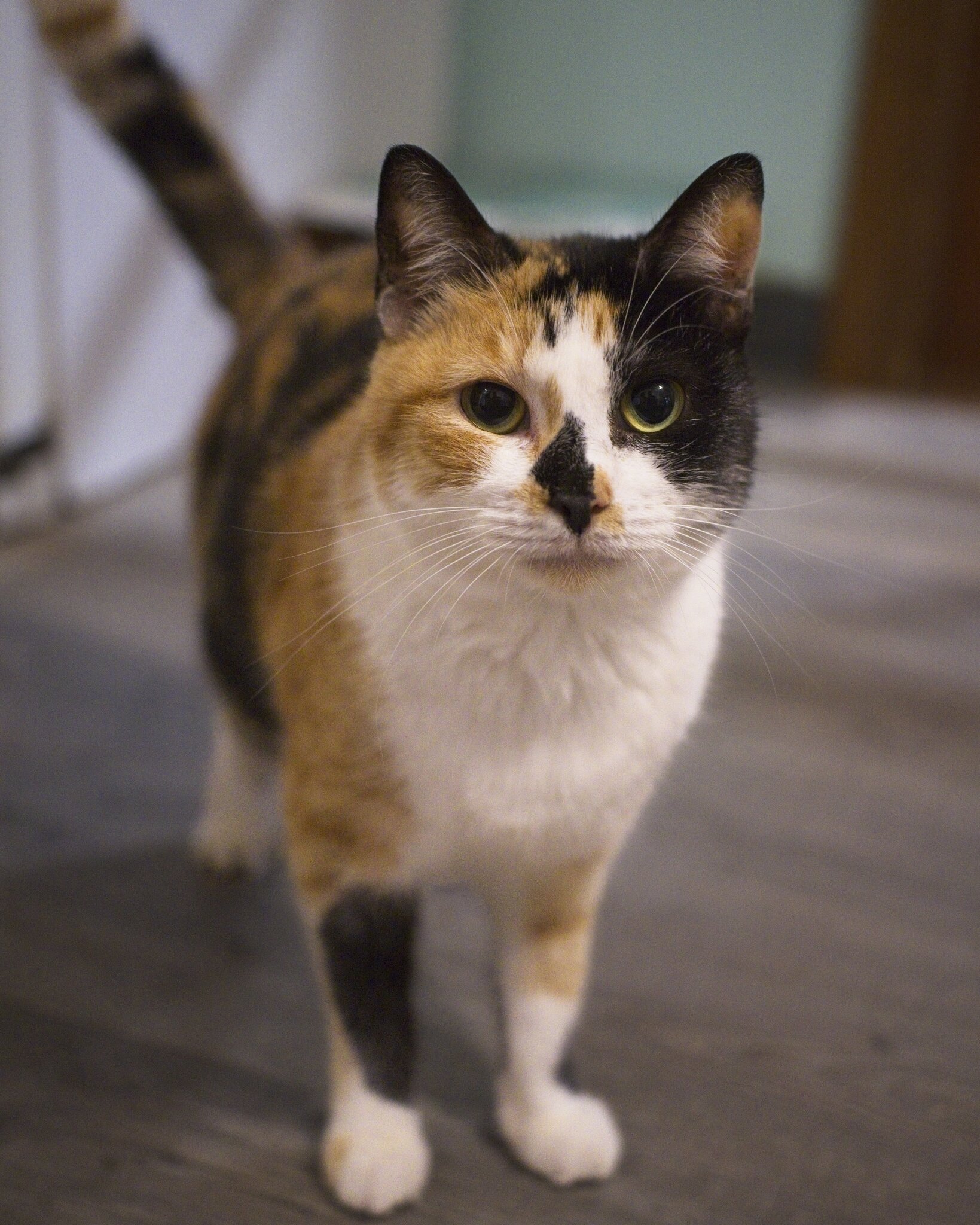 DSC08470 1.jpg