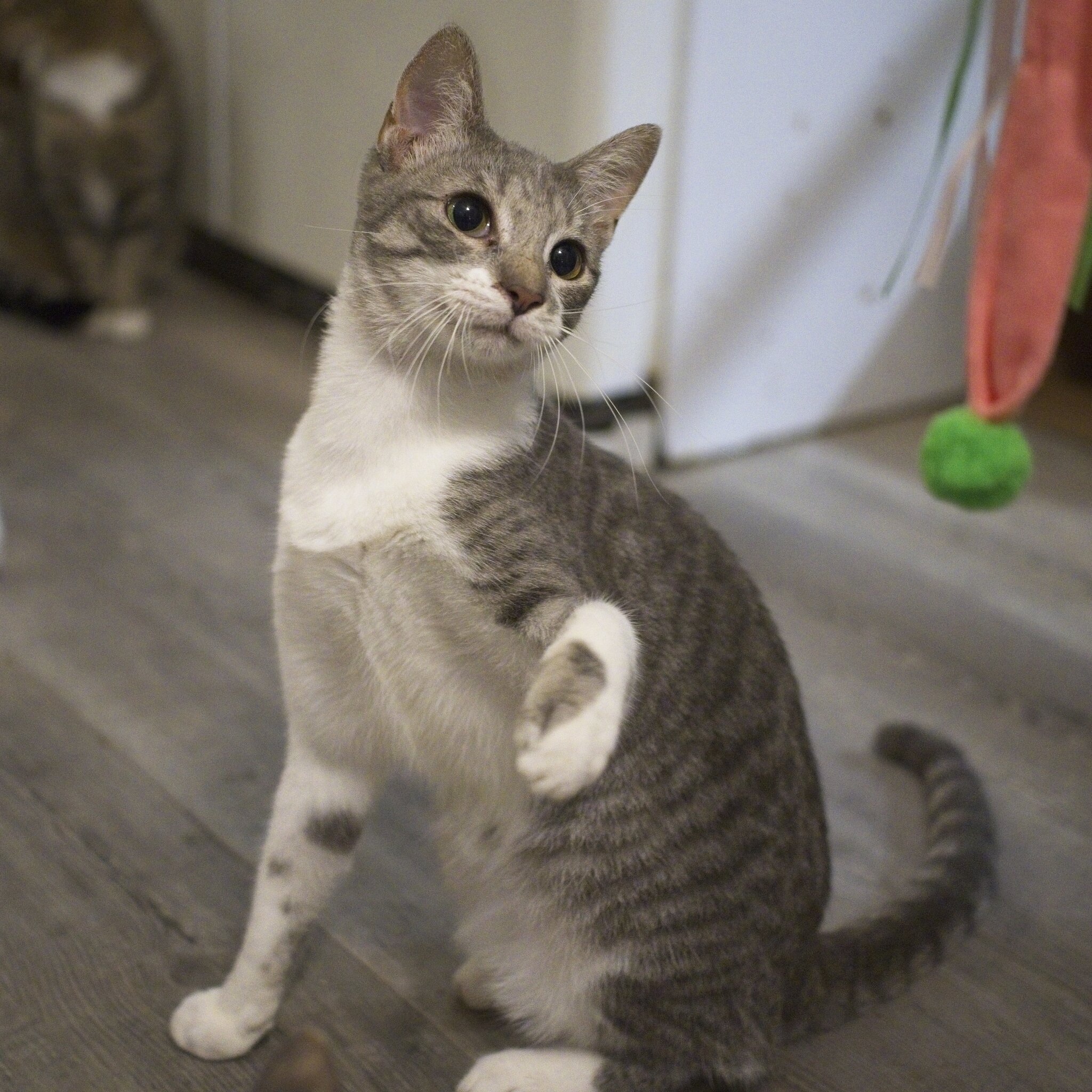 DSC08478 1.jpg